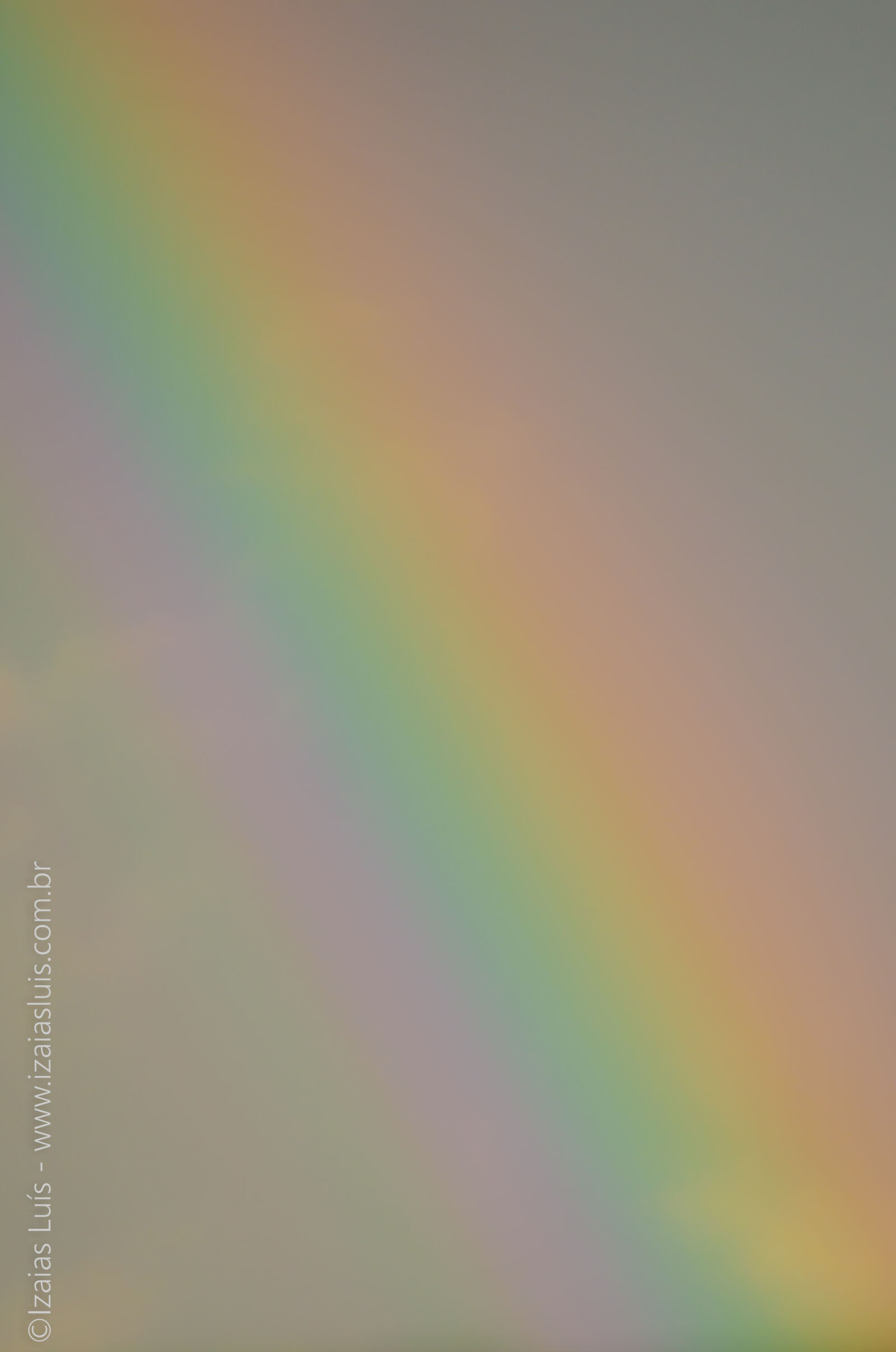 Nikon D5100 + Tamron SP 70-300mm F4-5.6 Di VC USD sample photo. Colors, rainbow, rainbow, colors photography
