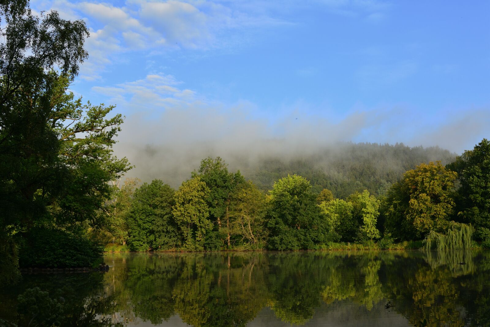 Nikon D5200 sample photo. Landscape park, fog, sunrise photography