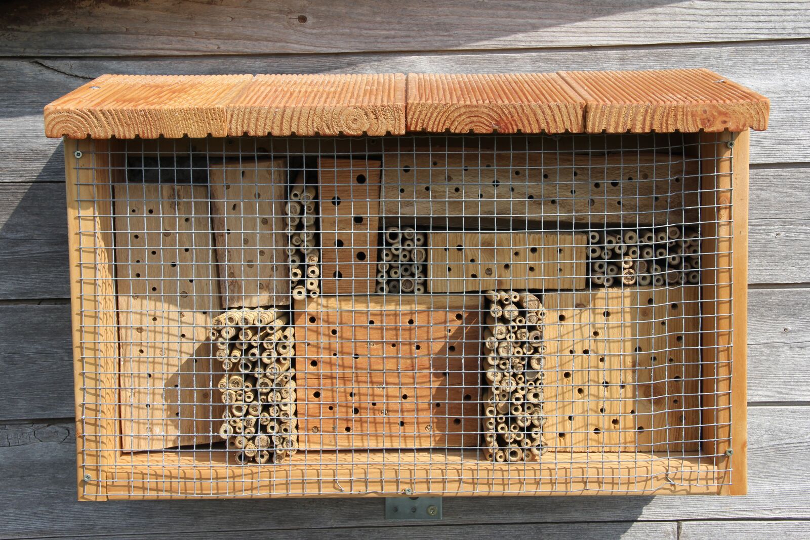 Canon EOS 60D sample photo. Insect hotel, mason bee photography