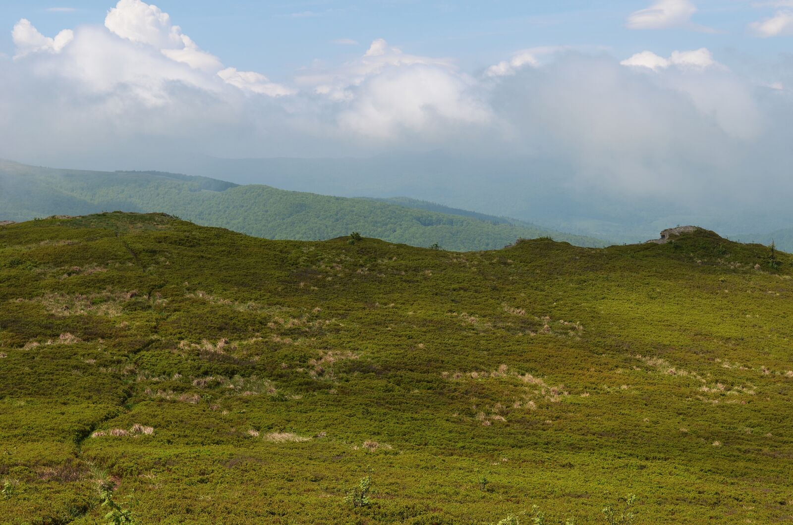 Nikon D5100 sample photo. Mountains, landscape, bieszczady photography
