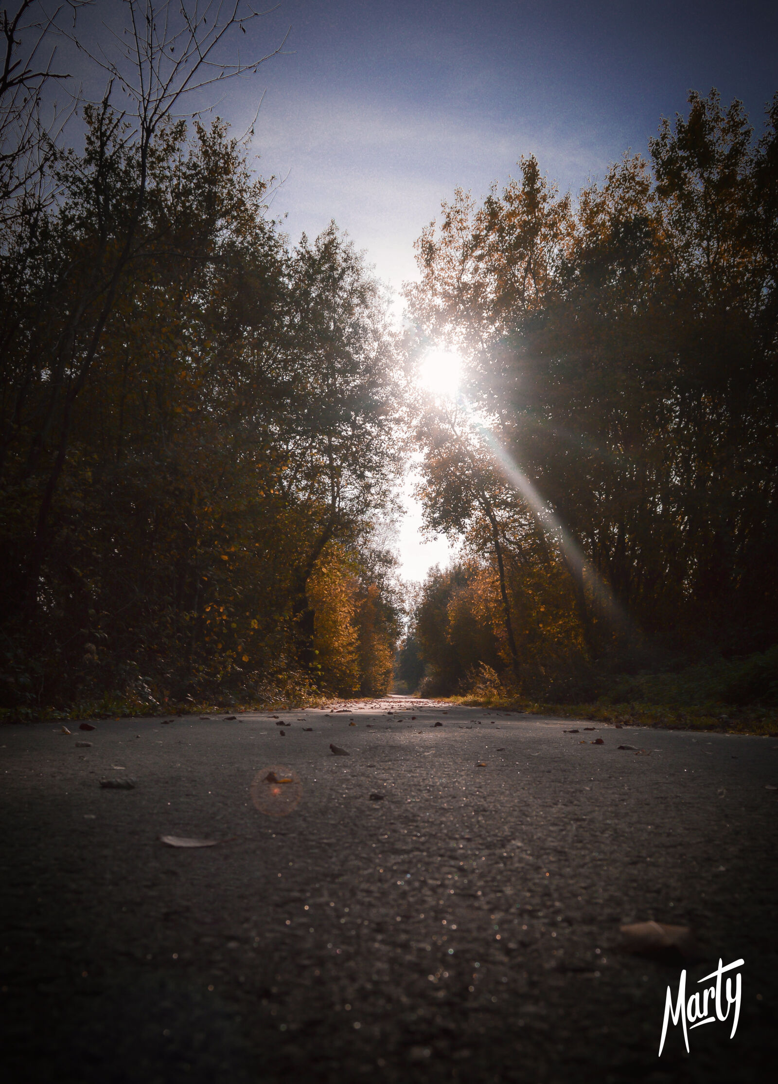 Nikon D3200 sample photo. Autumn, autumn, colours, blue photography