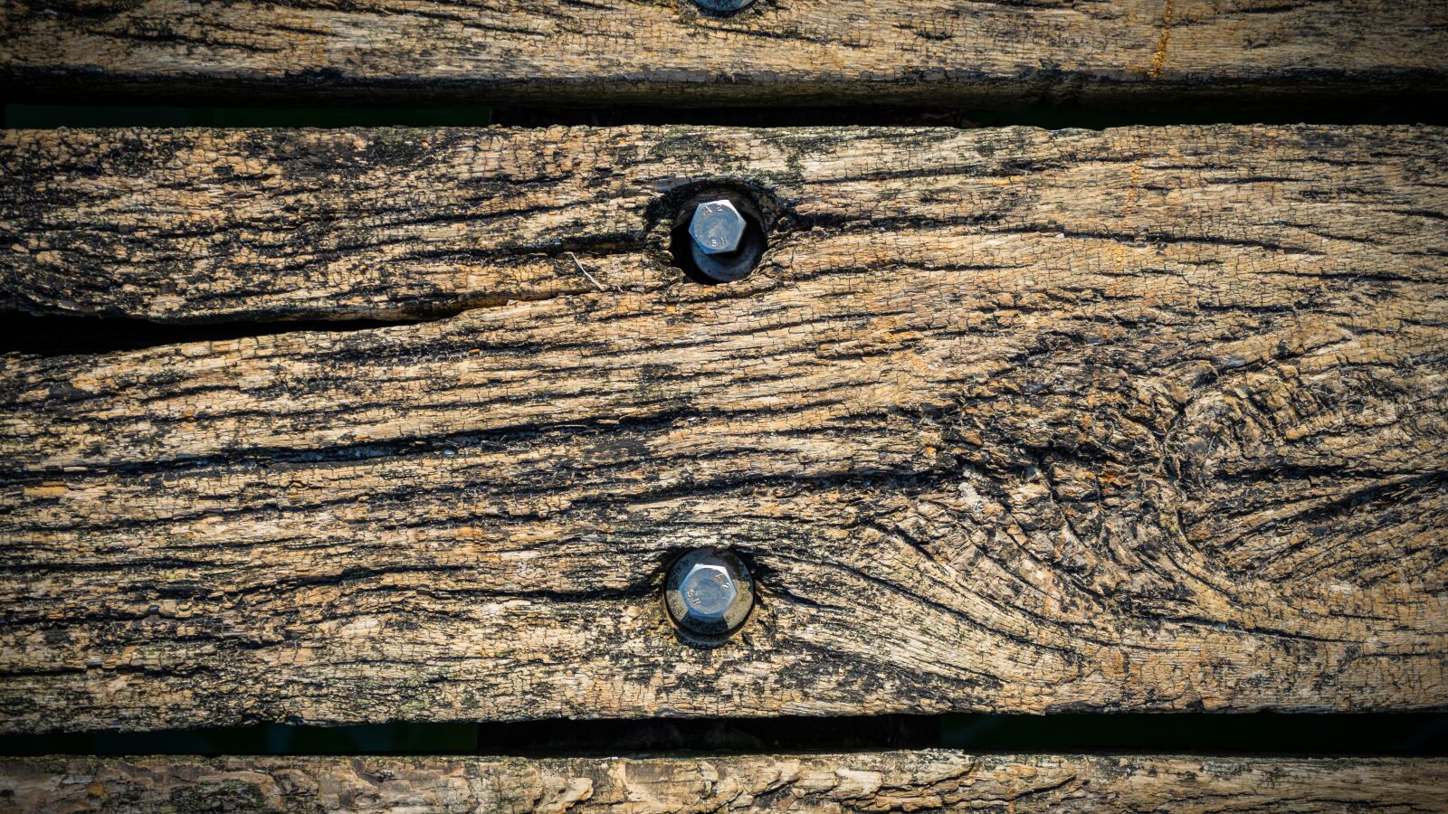 Sony a7 II + Sony FE 28-70mm F3.5-5.6 OSS sample photo. Structure, pattern, grain photography