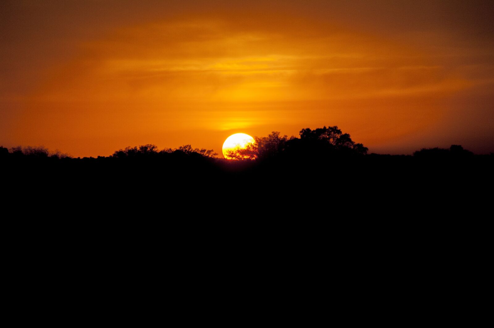 Nikon D2Xs sample photo. Sunset, dawn, sun photography