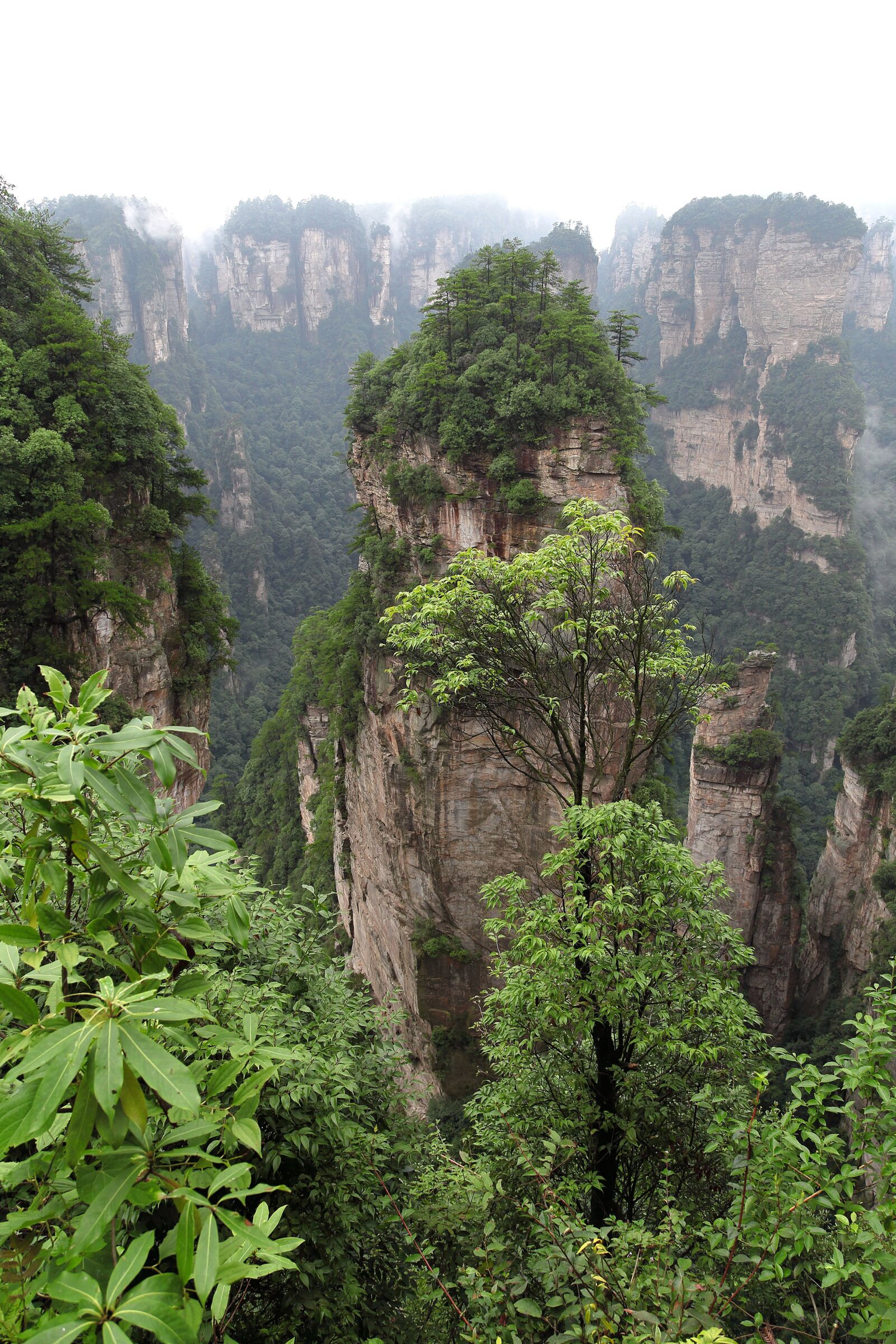Canon EOS 5D Mark II sample photo. Zhangjiajie, wulingyuan, quartz sandstone photography