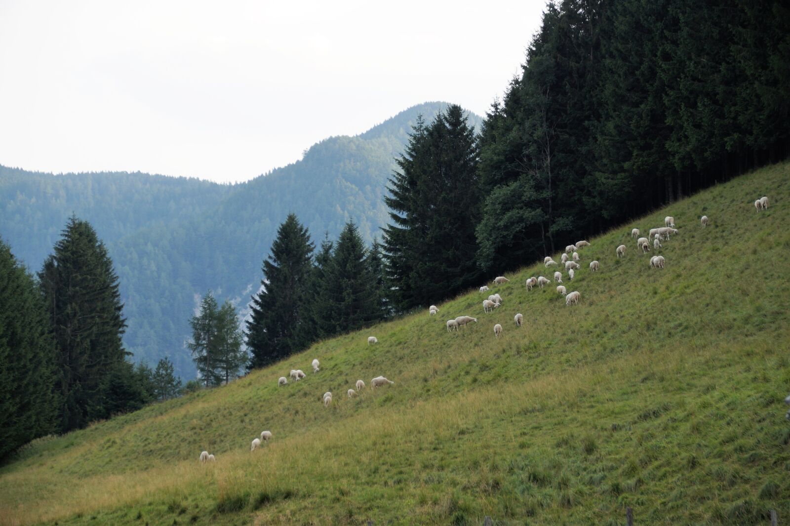 Sony SLT-A58 sample photo. Slovenia, julian alps, mountains photography