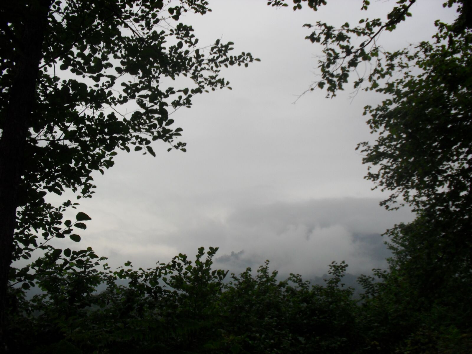 Samsung ES60 / VLUU ES60 /  SL105 /  ES63 sample photo. Sky, forest, landscape photography