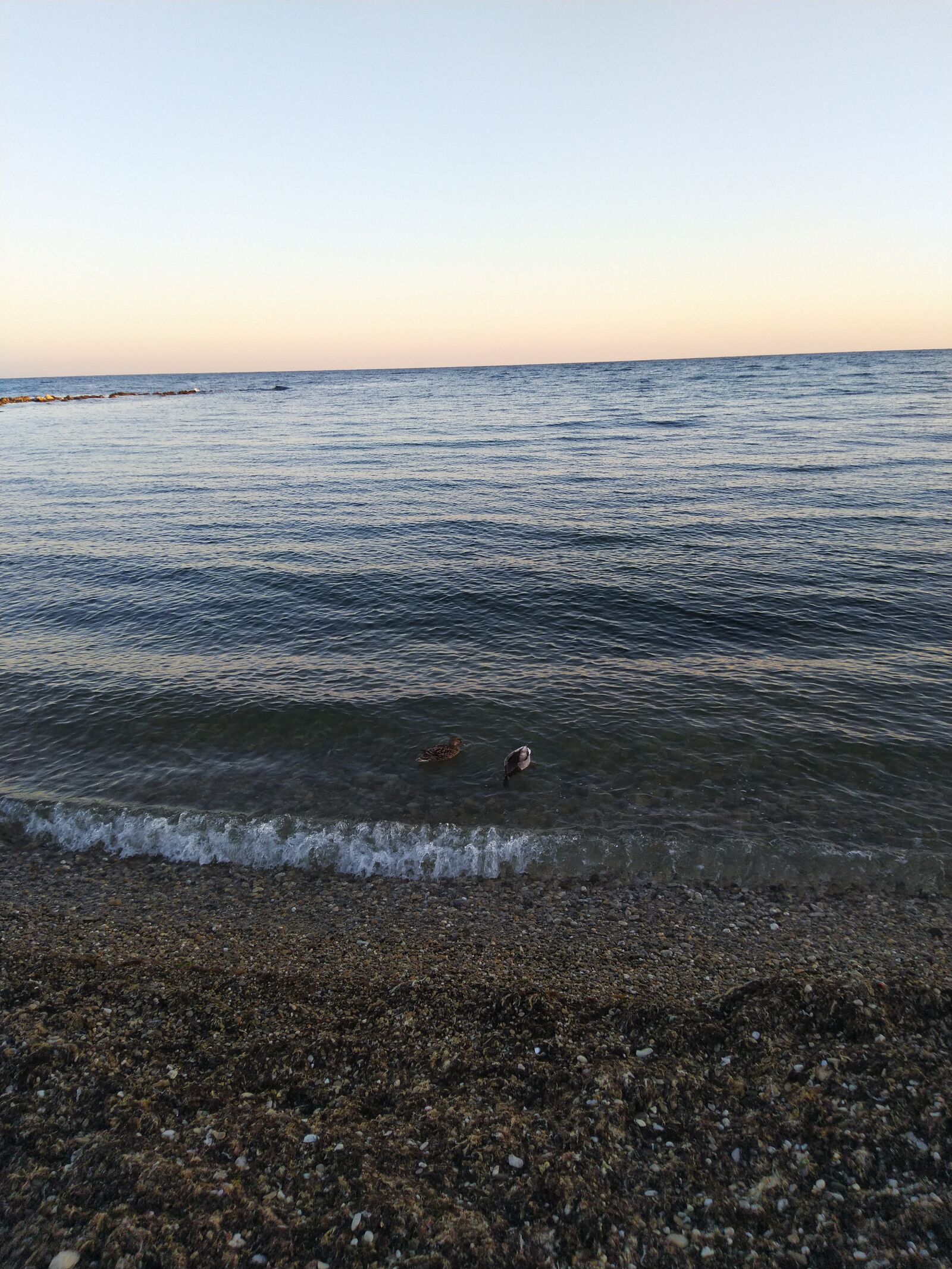 ASUS ZenFone Max Pro M1 (ZB602KL) (WW) / Max Pro M1 (ZB601KL) (IN) sample photo. Sea, dawn, sky photography