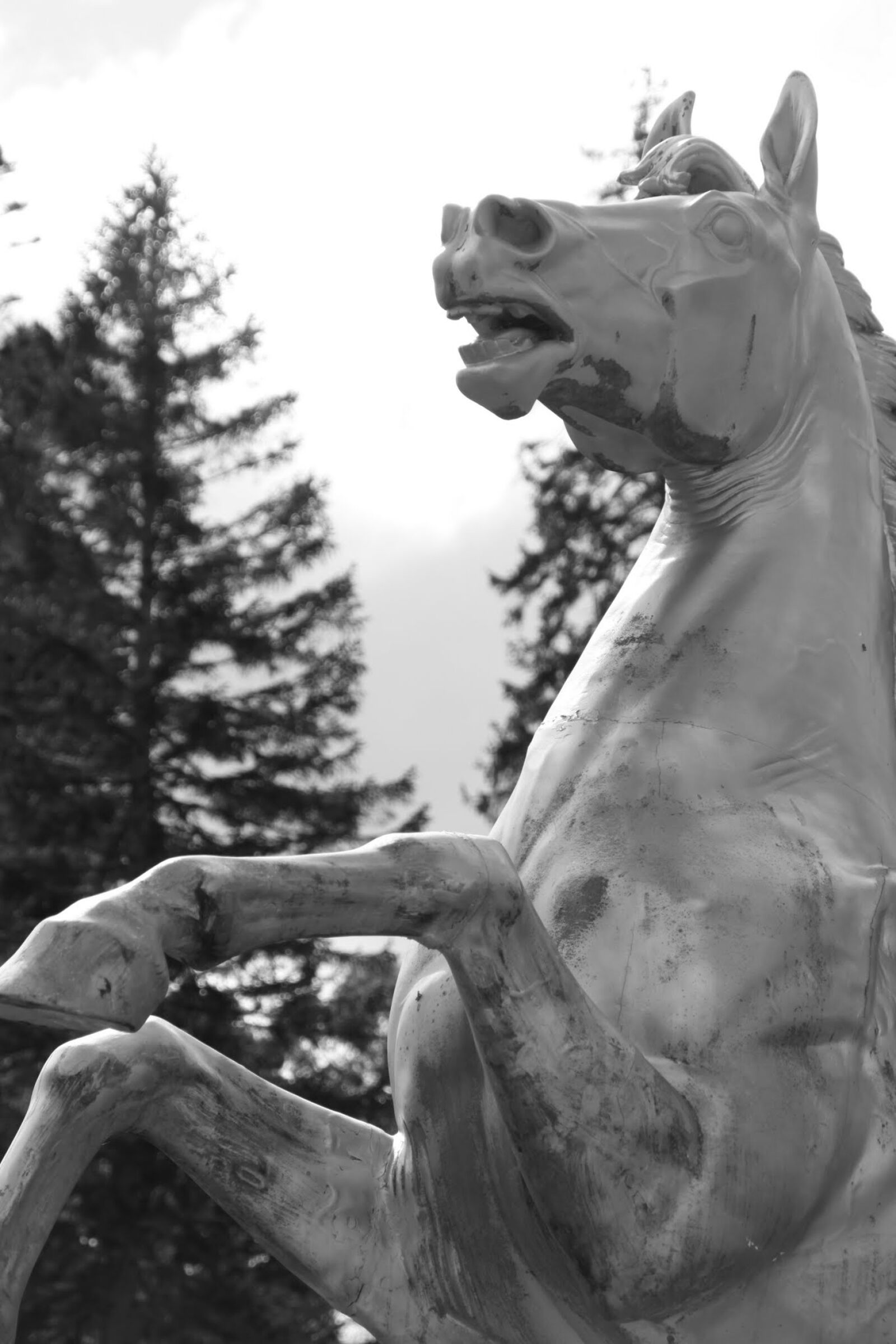 Canon EOS 500D (EOS Rebel T1i / EOS Kiss X3) sample photo. Horse, statue, ireland photography