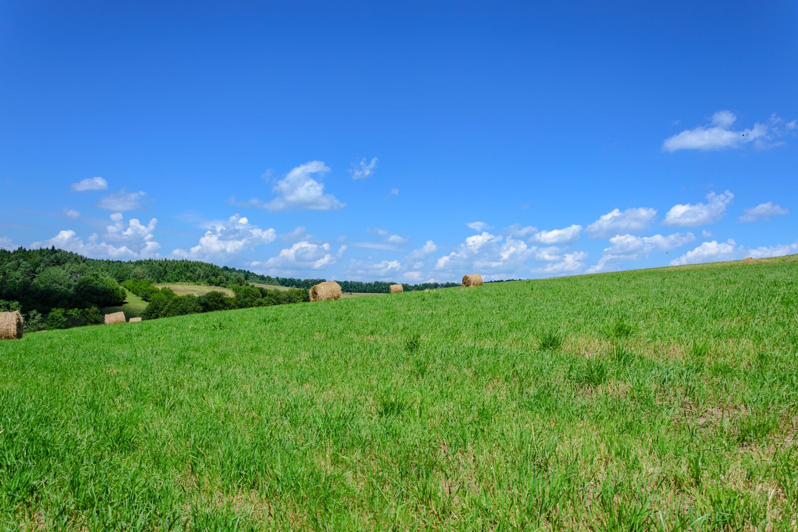 Nikon D3100 sample photo. Grass, fields, bales photography