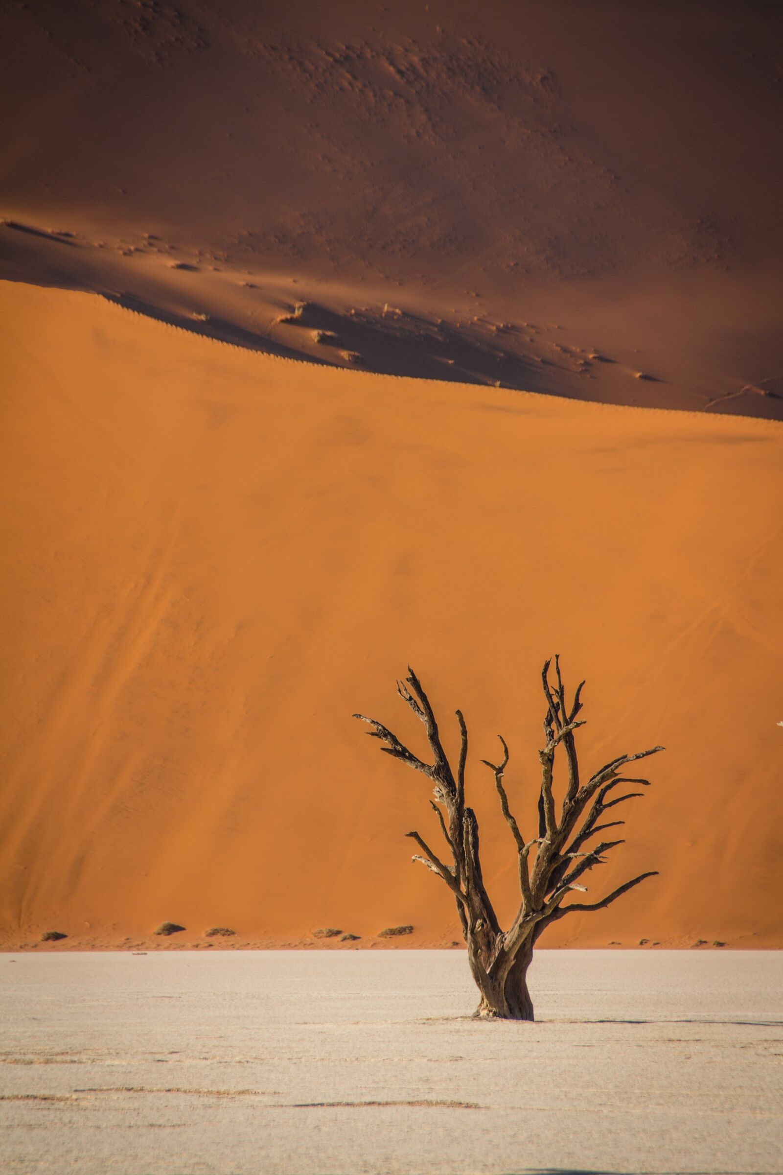 Canon EOS 650D (EOS Rebel T4i / EOS Kiss X6i) sample photo. Namibia, wildlife, africa photography