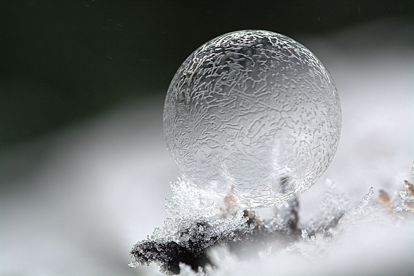 Nikon D5200 sample photo. Soap bubble, mirroring, colorful photography