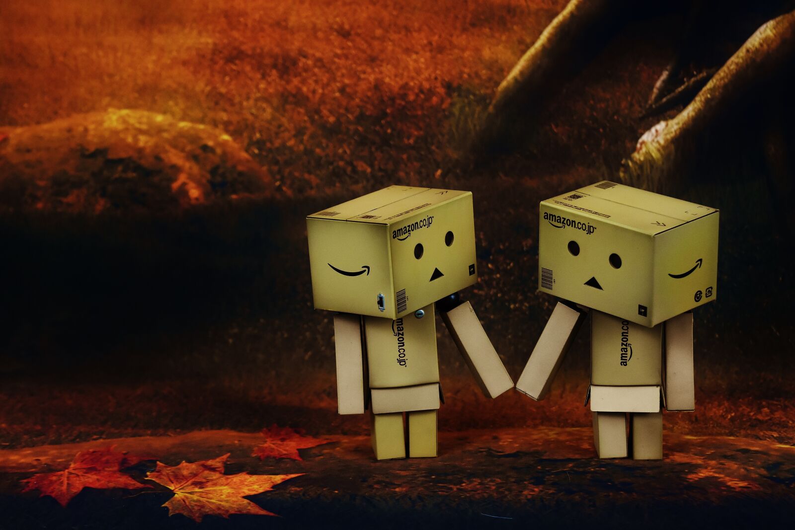 Nikon D7200 sample photo. Danbo, love, romantic photography