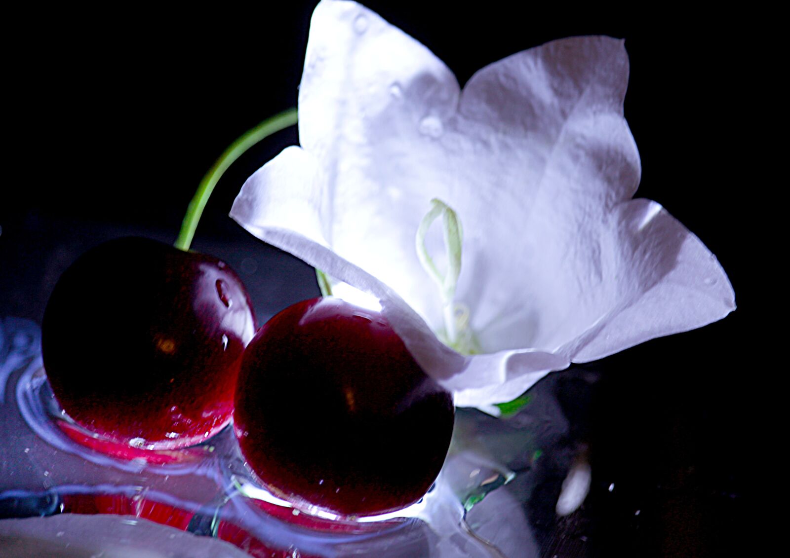 Canon EF-S 55-250mm F4-5.6 IS STM sample photo. Cherry, flowers, still life photography