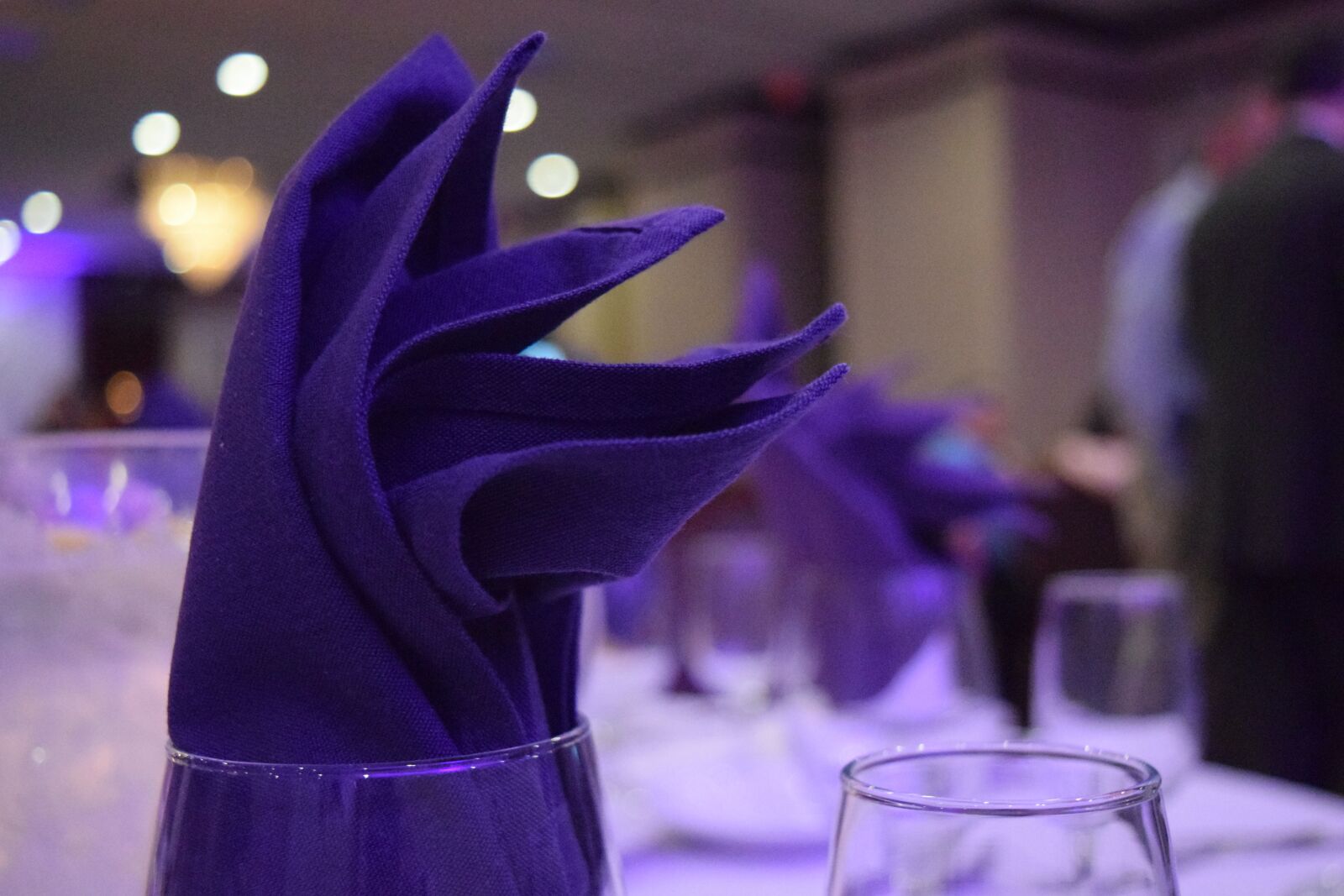 Nikon D3300 sample photo. Wedding reception, wedding, reception photography