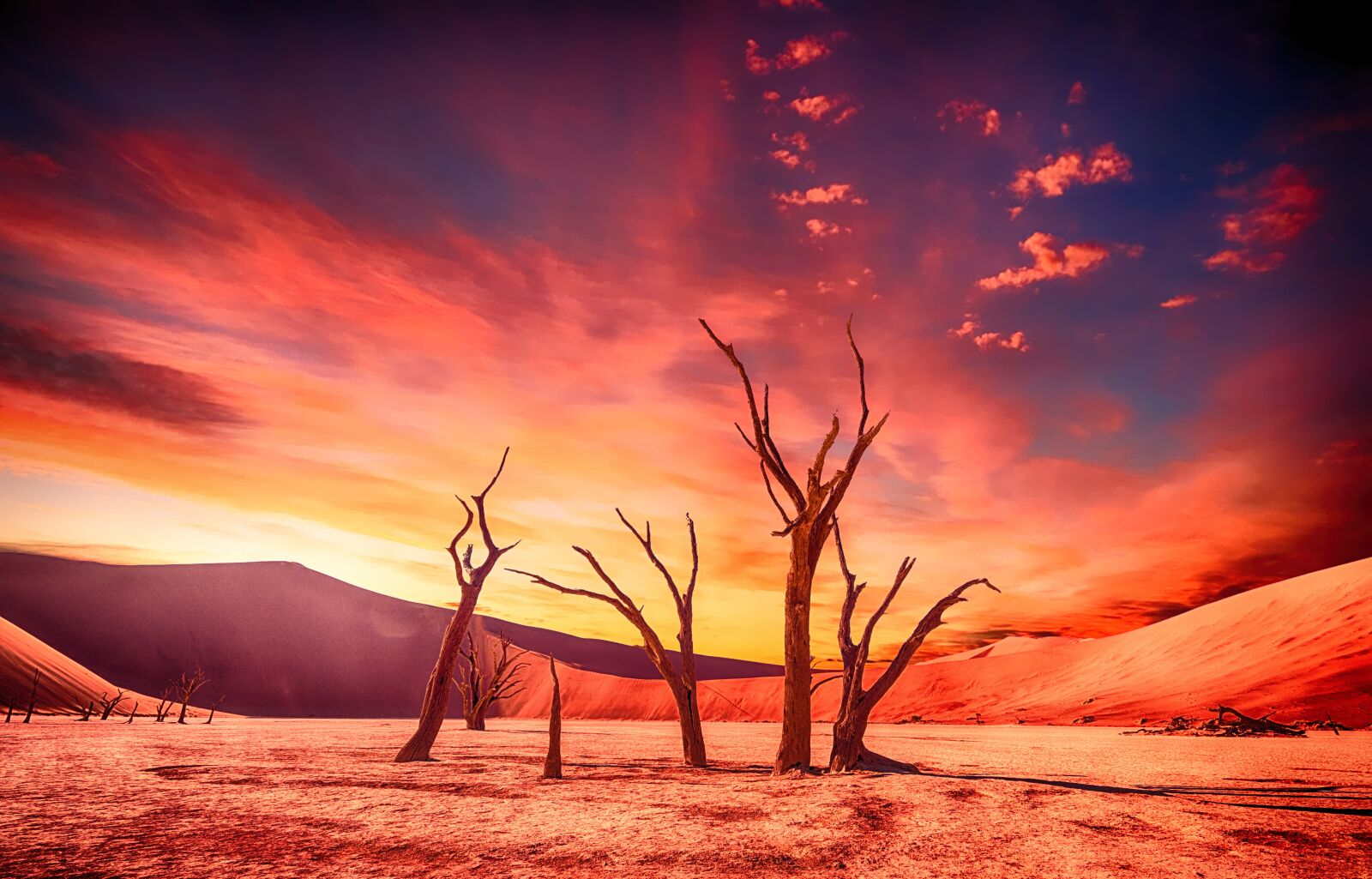 Sony a7R sample photo. Desert, arid, dry photography