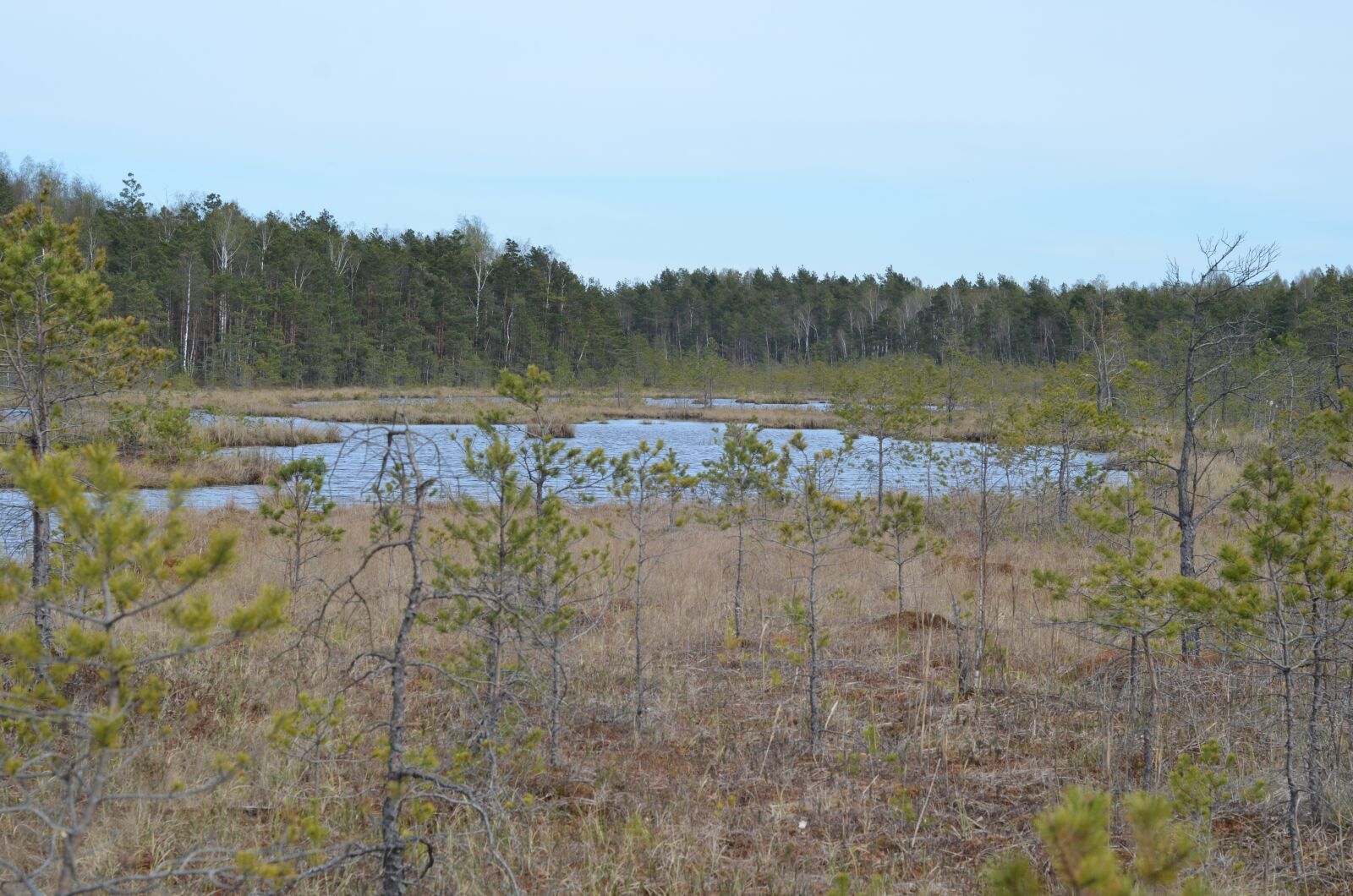 Nikon D7000 sample photo. Lake, forest, lithuania photography