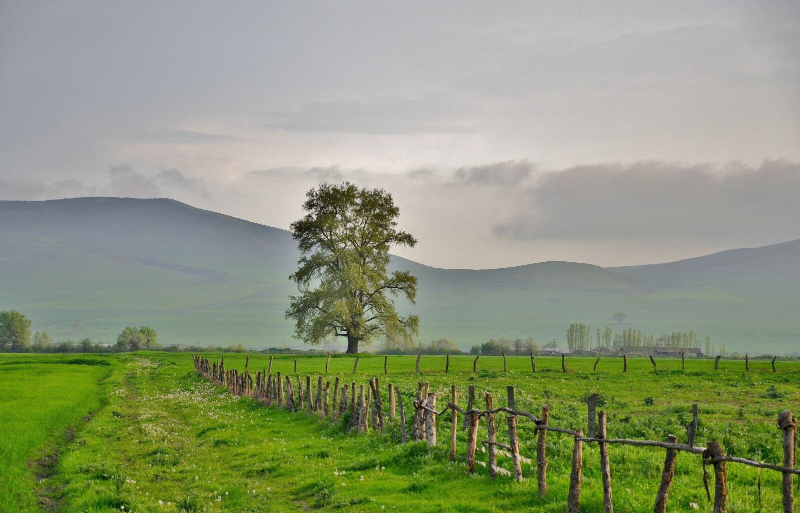 Nikon D7000 sample photo. Tree, landscape, nature photography
