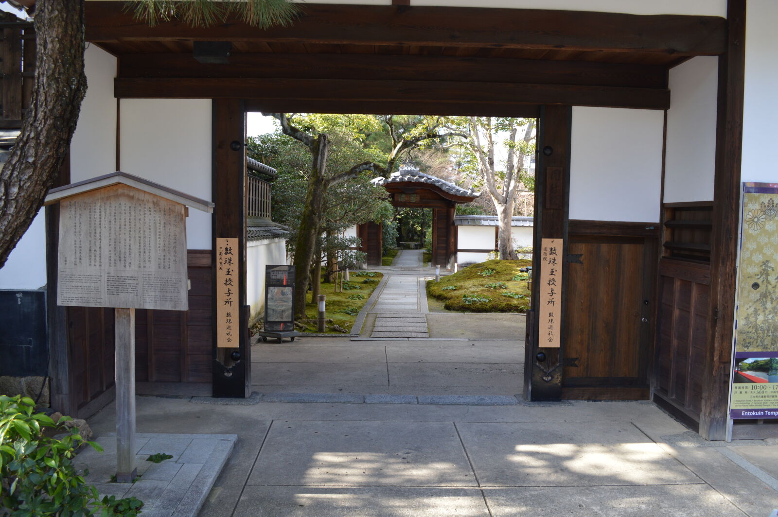Nikon D3200 sample photo