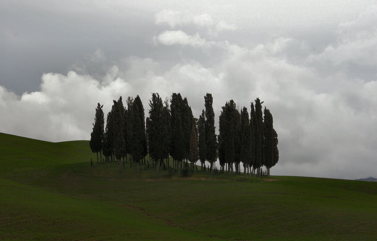 Canon EOS 20D sample photo. Trees, landscape, tuscany photography