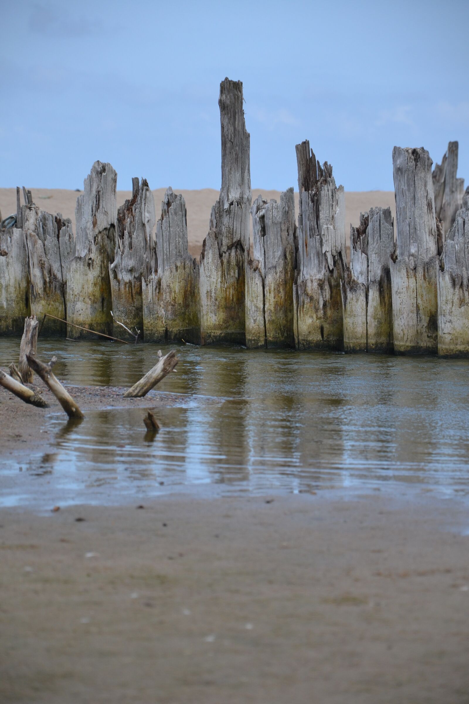 Nikon D3100 sample photo. Sea, beach, sand photography