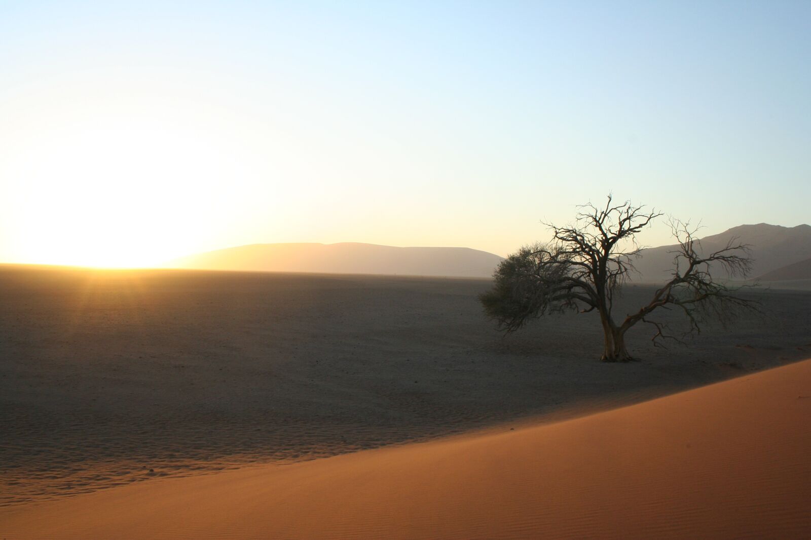 Canon EOS 350D (EOS Digital Rebel XT / EOS Kiss Digital N) sample photo. Sunrise, tree, desert photography