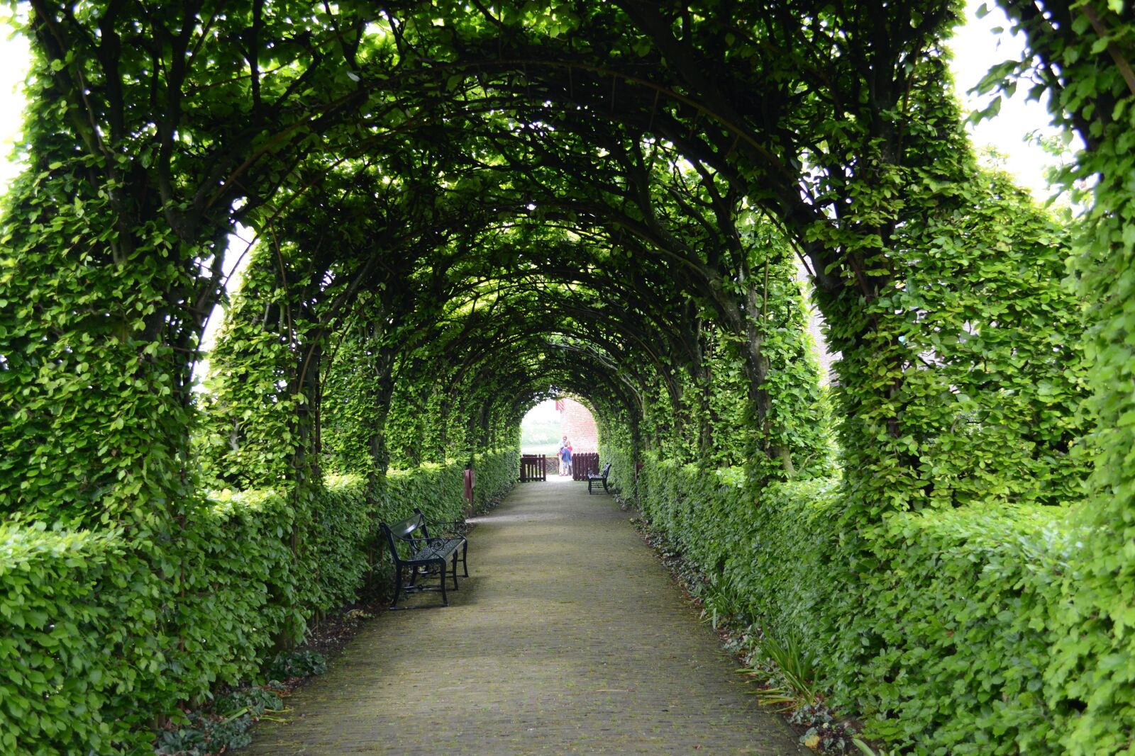 Nikon D3100 sample photo. Landscape, path, leaves photography