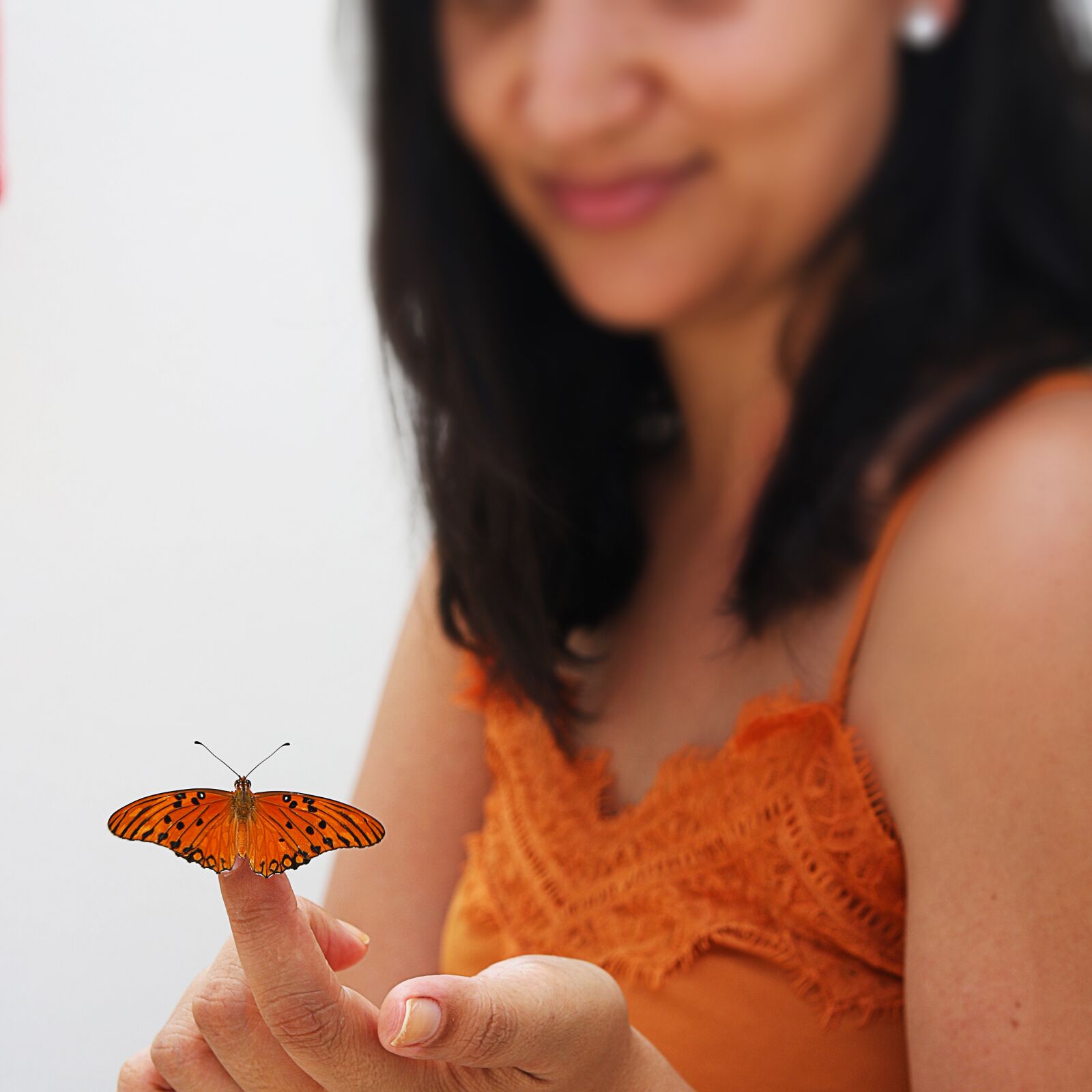 Canon EOS 750D (EOS Rebel T6i / EOS Kiss X8i) sample photo. Brunette, butterfly, brazil photography