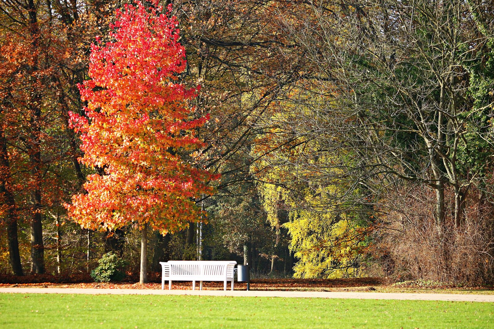 Canon EOS 100D (EOS Rebel SL1 / EOS Kiss X7) sample photo. Park, bank, autumn photography