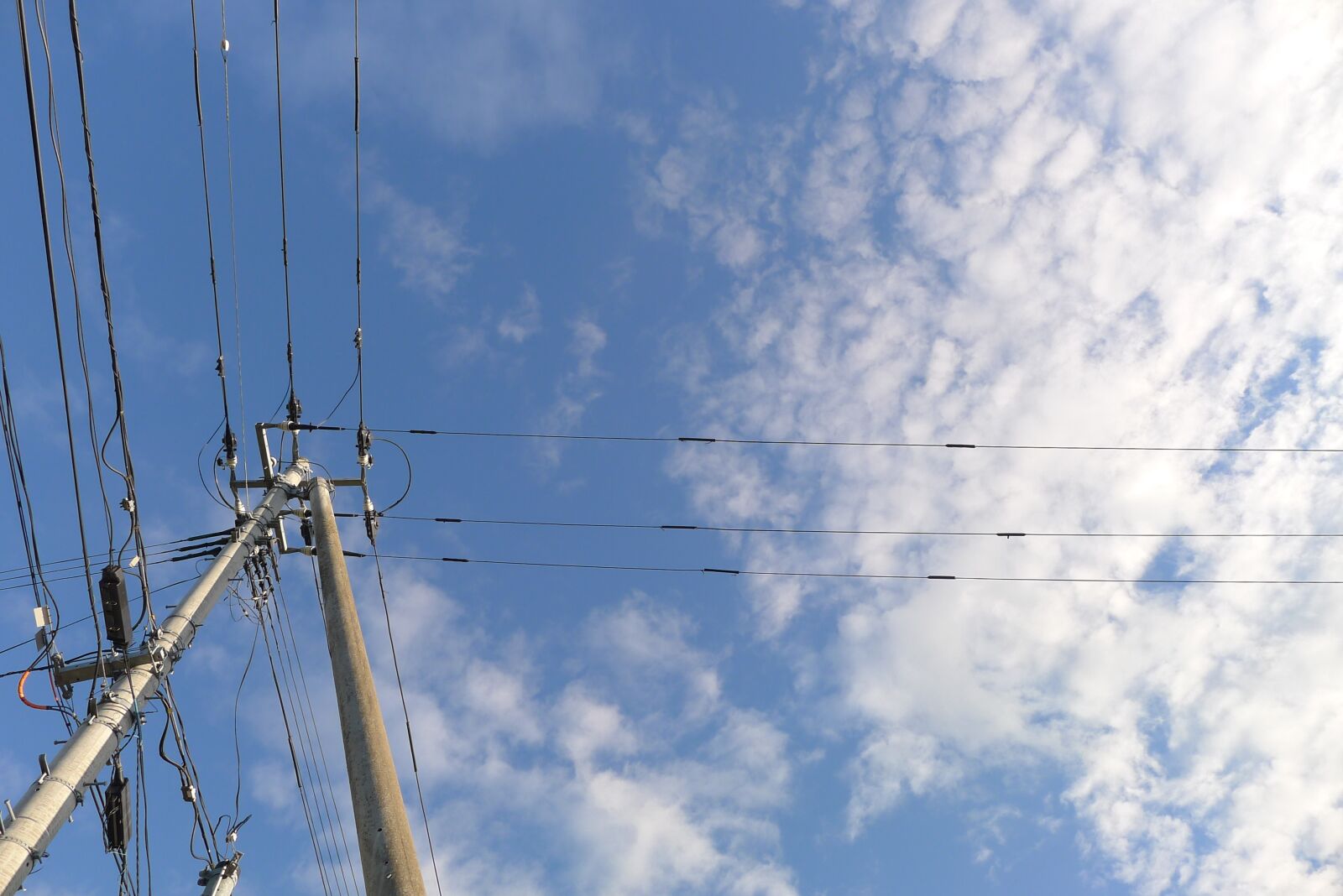 Panasonic Lumix DMC-LX5 sample photo. Sky, pole, electric cable photography