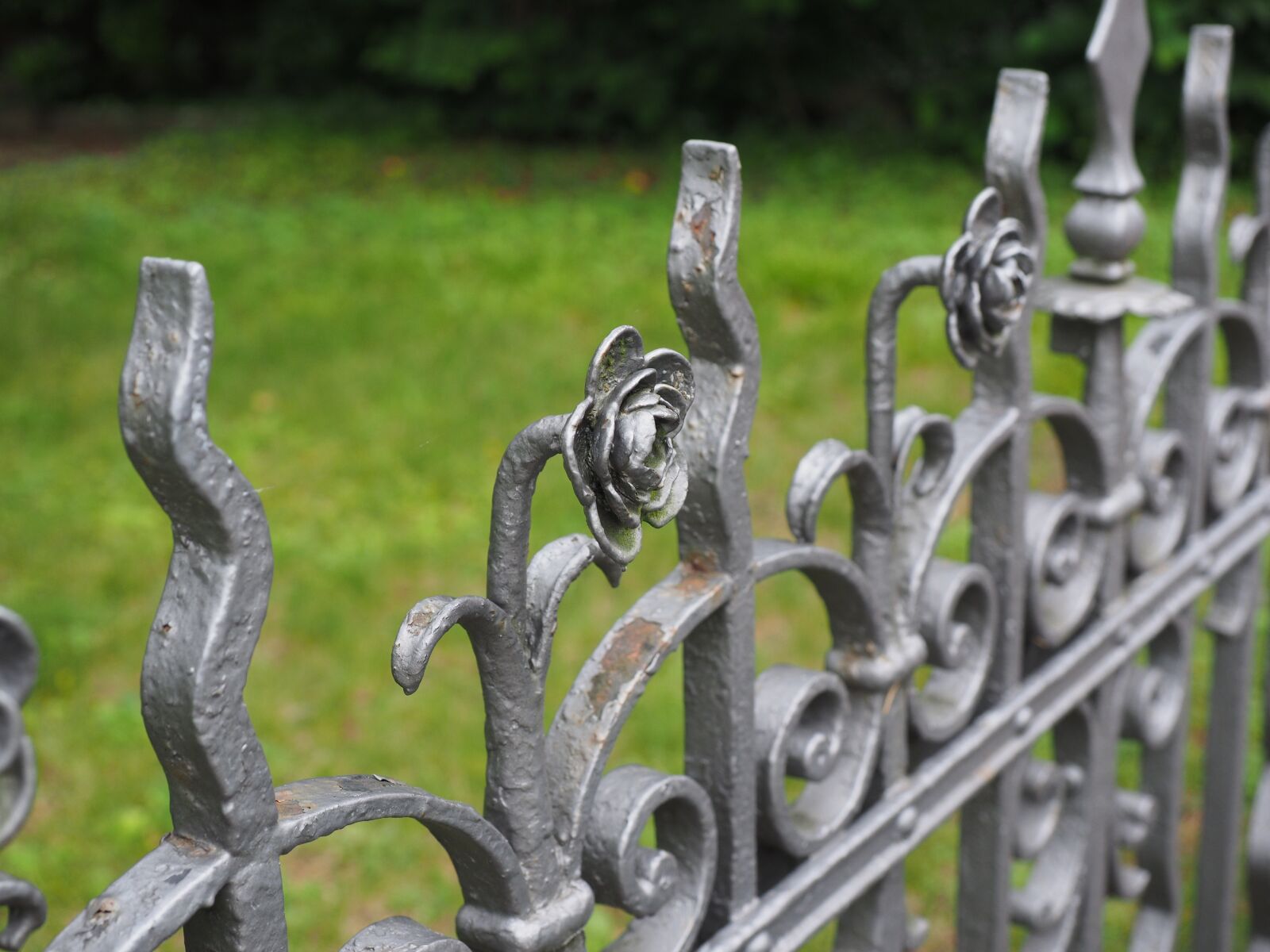 Olympus OM-D E-M1 + Olympus M.Zuiko Digital ED 12-40mm F2.8 Pro sample photo. Fence, garden fence, iron photography