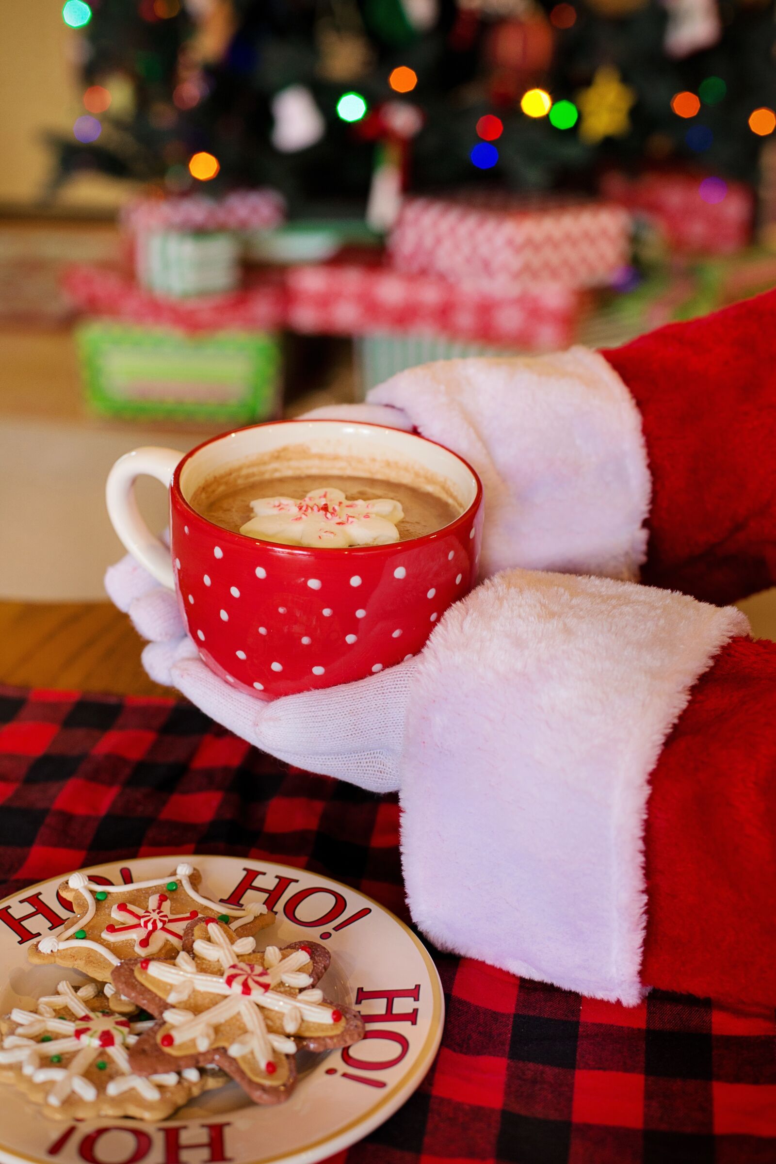 Canon EF 50mm F1.4 USM sample photo. Santa claus, santa, hot photography