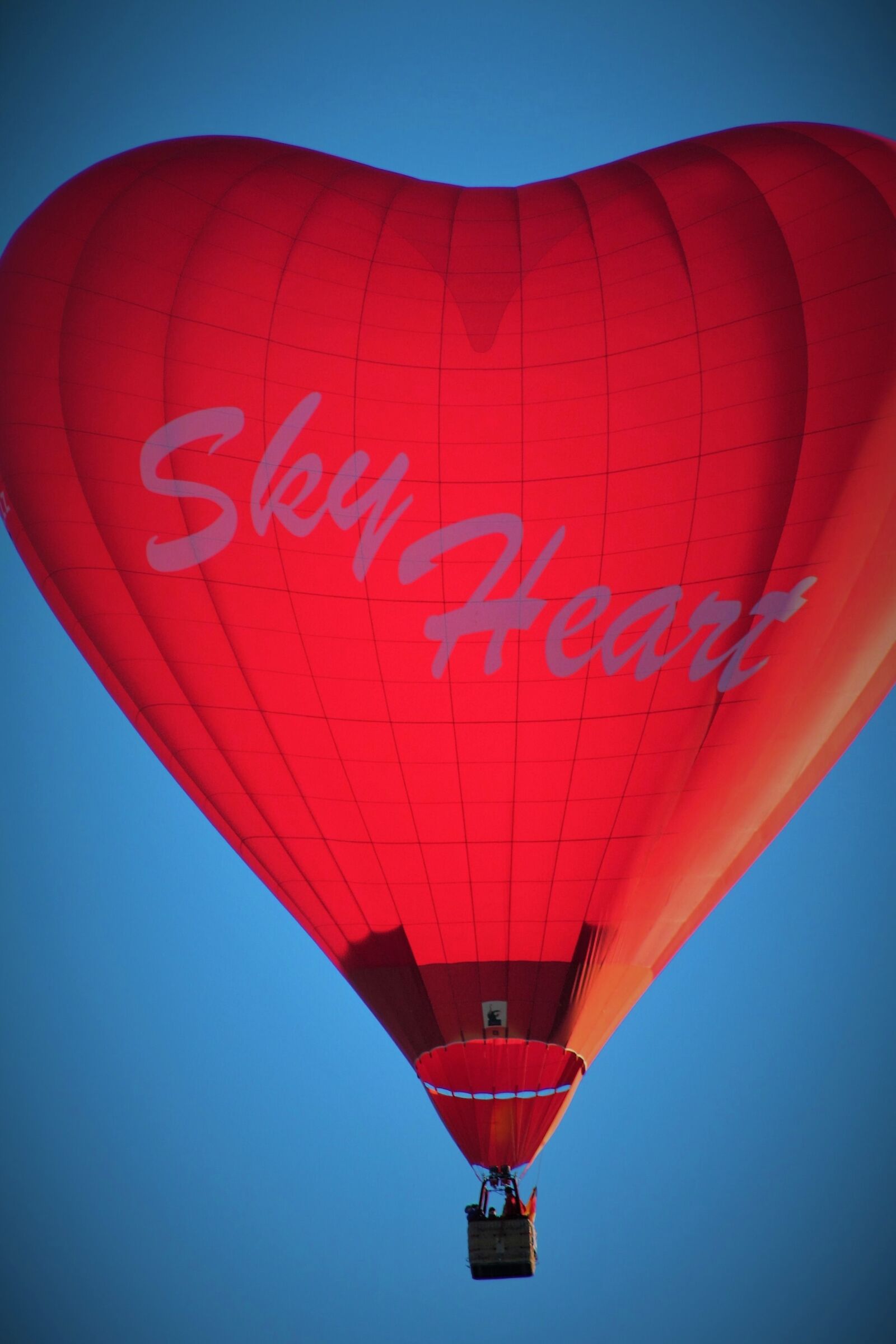 Canon EF 75-300mm f/4-5.6 sample photo. Hot air balloon, albuquerque photography