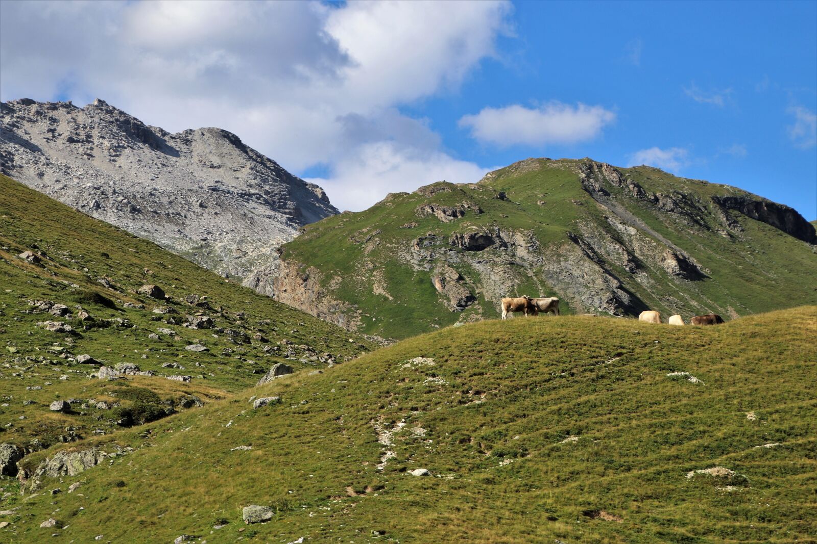 Canon EOS 80D sample photo. The alps, mountains, the photography