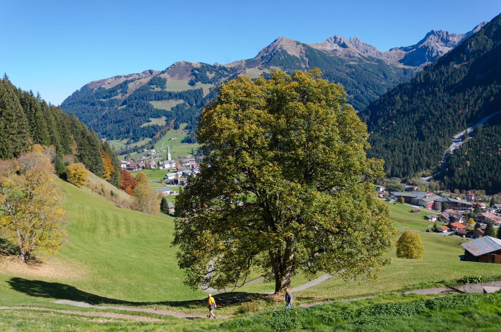 Nikon D5100 sample photo. Mittelberg, austria, trail photography