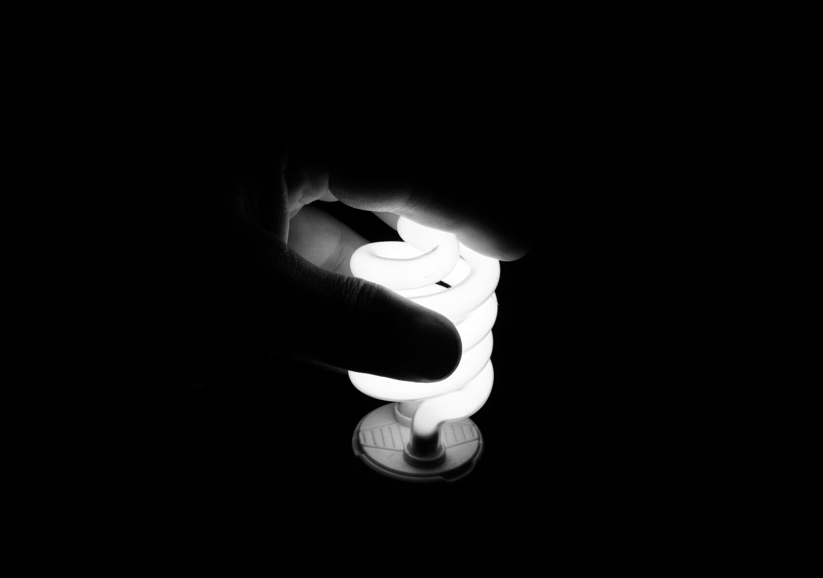Canon PowerShot SX530 HS sample photo. Hand, bulb, light bulb photography