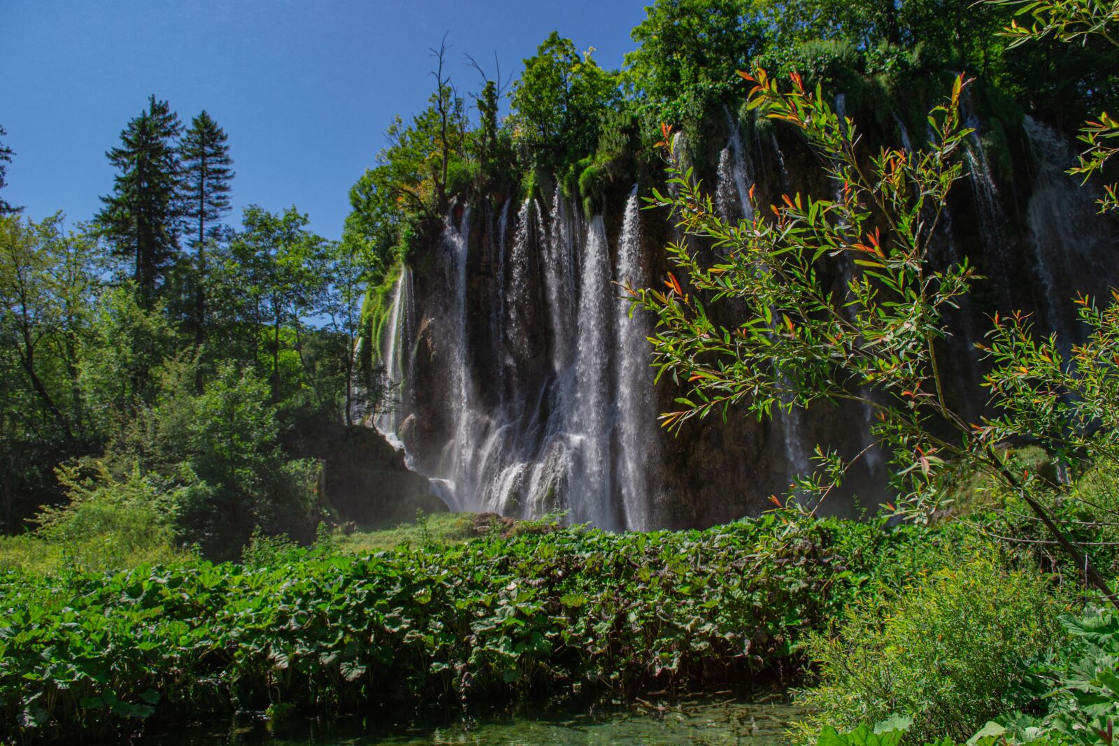 Nikon D3100 sample photo. Lake, waterfall, green photography