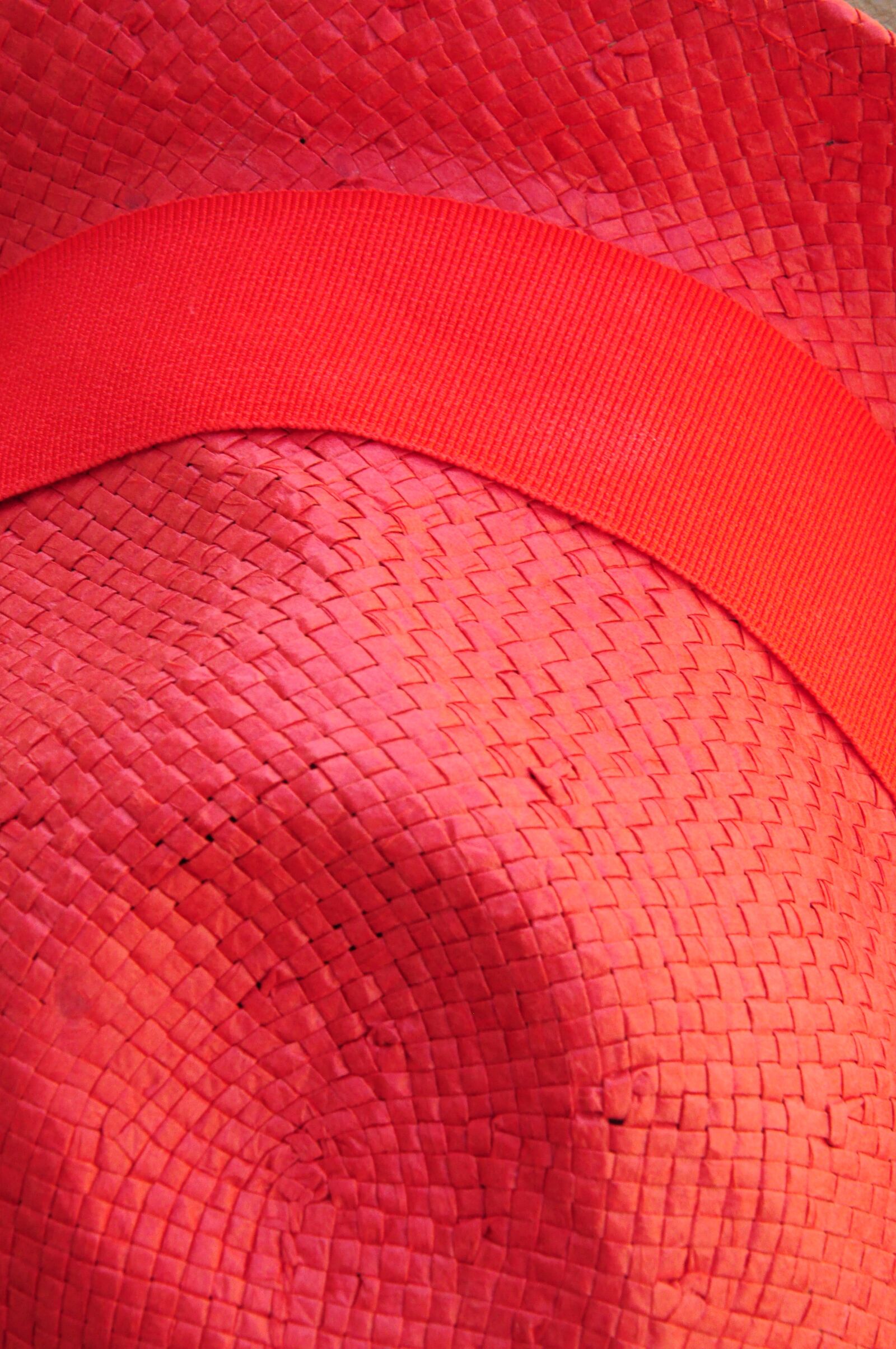 Nikon D90 sample photo. Hat, red, straw photography