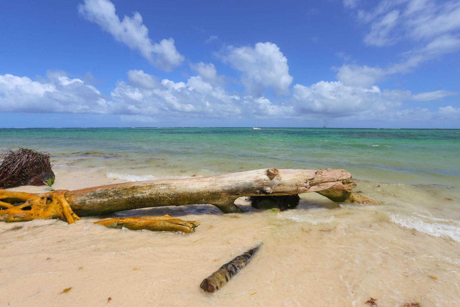 Canon EOS 6D + Canon EF 17-40mm F4L USM sample photo. Dominican republic, sargisova sea photography