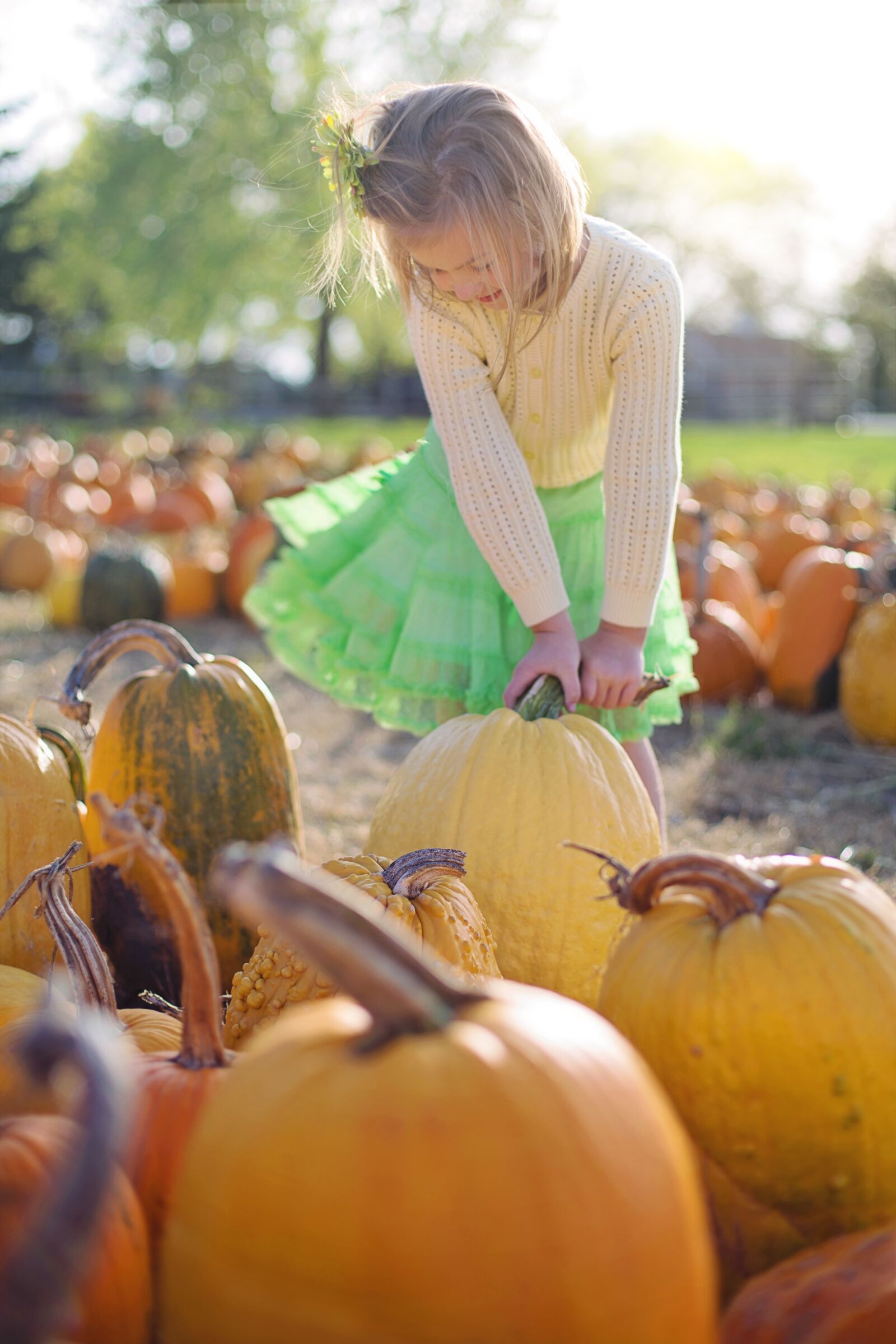 Canon EF 50mm F1.4 USM sample photo. Pumpkins, little girl, autumn photography