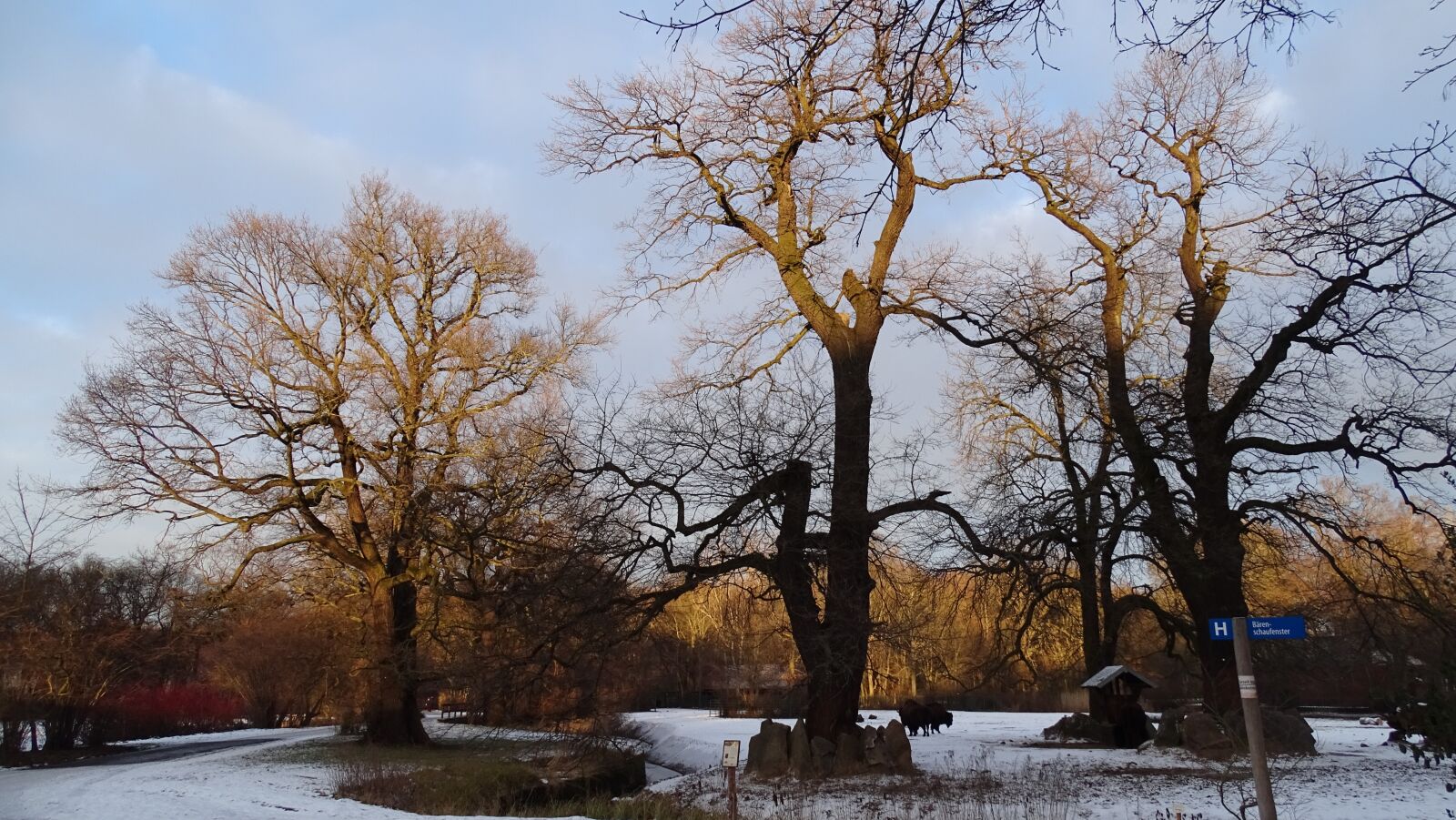 Sony Cyber-shot DSC-HX400V sample photo. Nature, trees, landscape photography