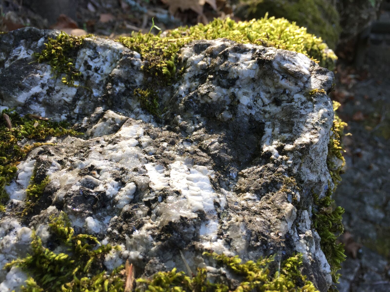 iPhone 6 Plus back camera 4.15mm f/2.2 sample photo. Rock, close up, moss photography