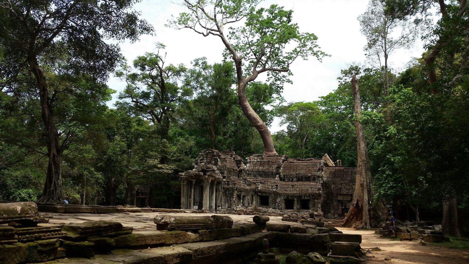 Samsung Galaxy S5 sample photo. Cambodia, temple, roots photography
