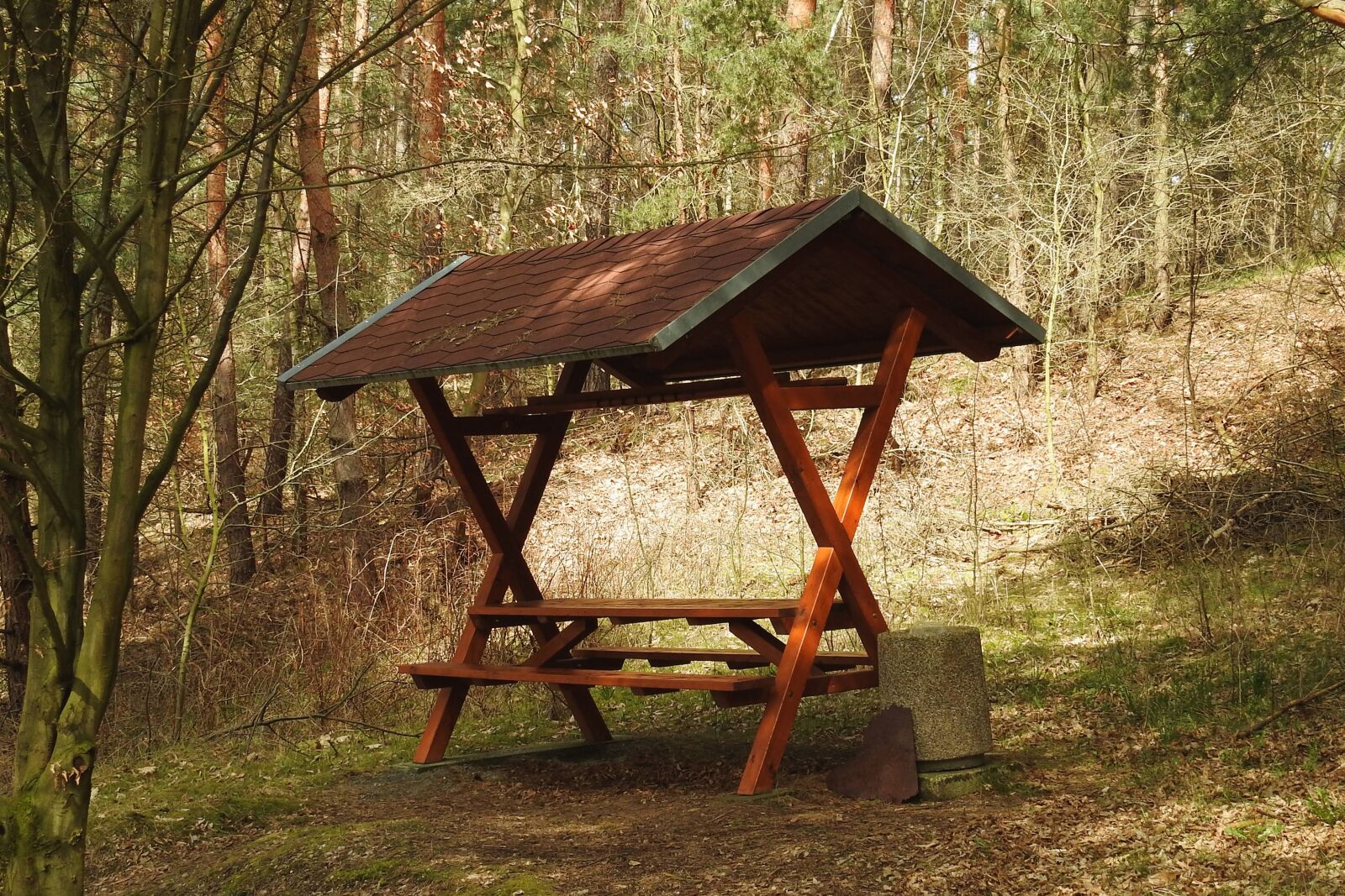 Nikon Coolpix P900 sample photo. Resting place, forest, hike photography