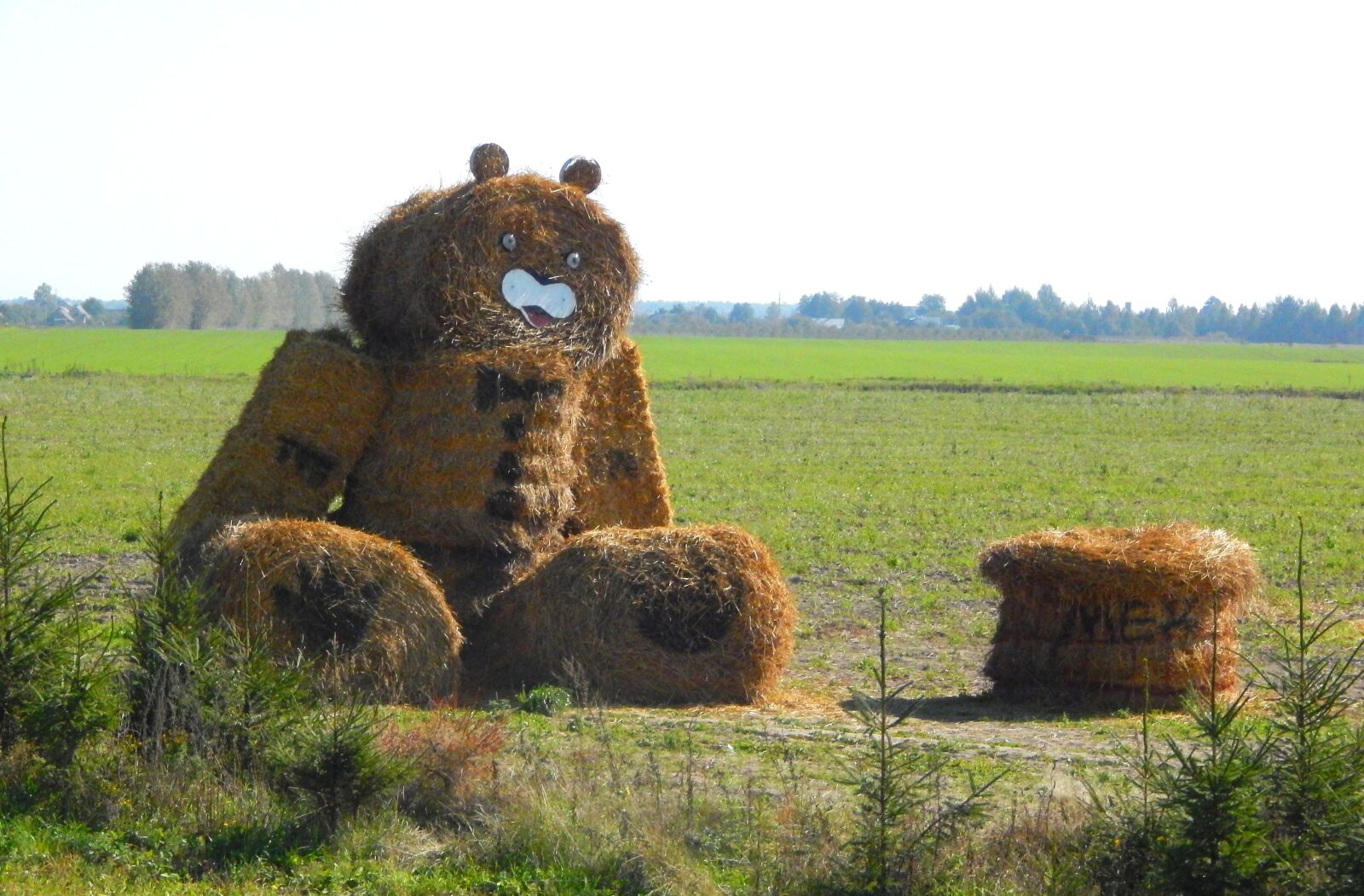 Nikon Coolpix L820 sample photo. Straw, bear, the road photography