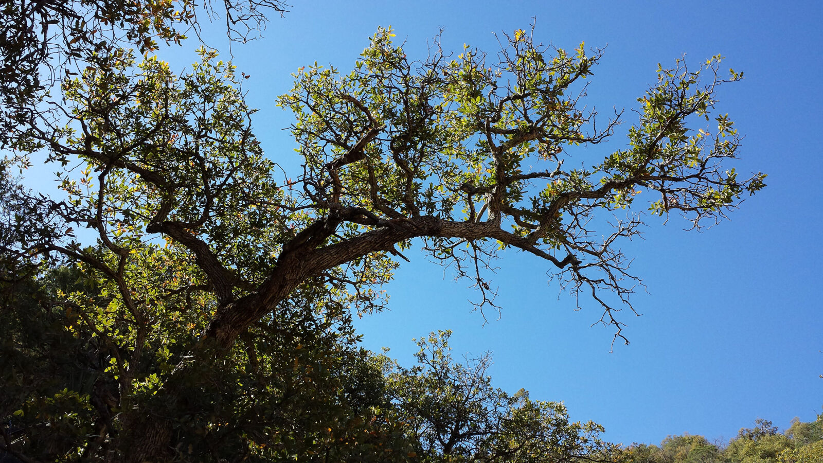 Samsung Galaxy S4 sample photo