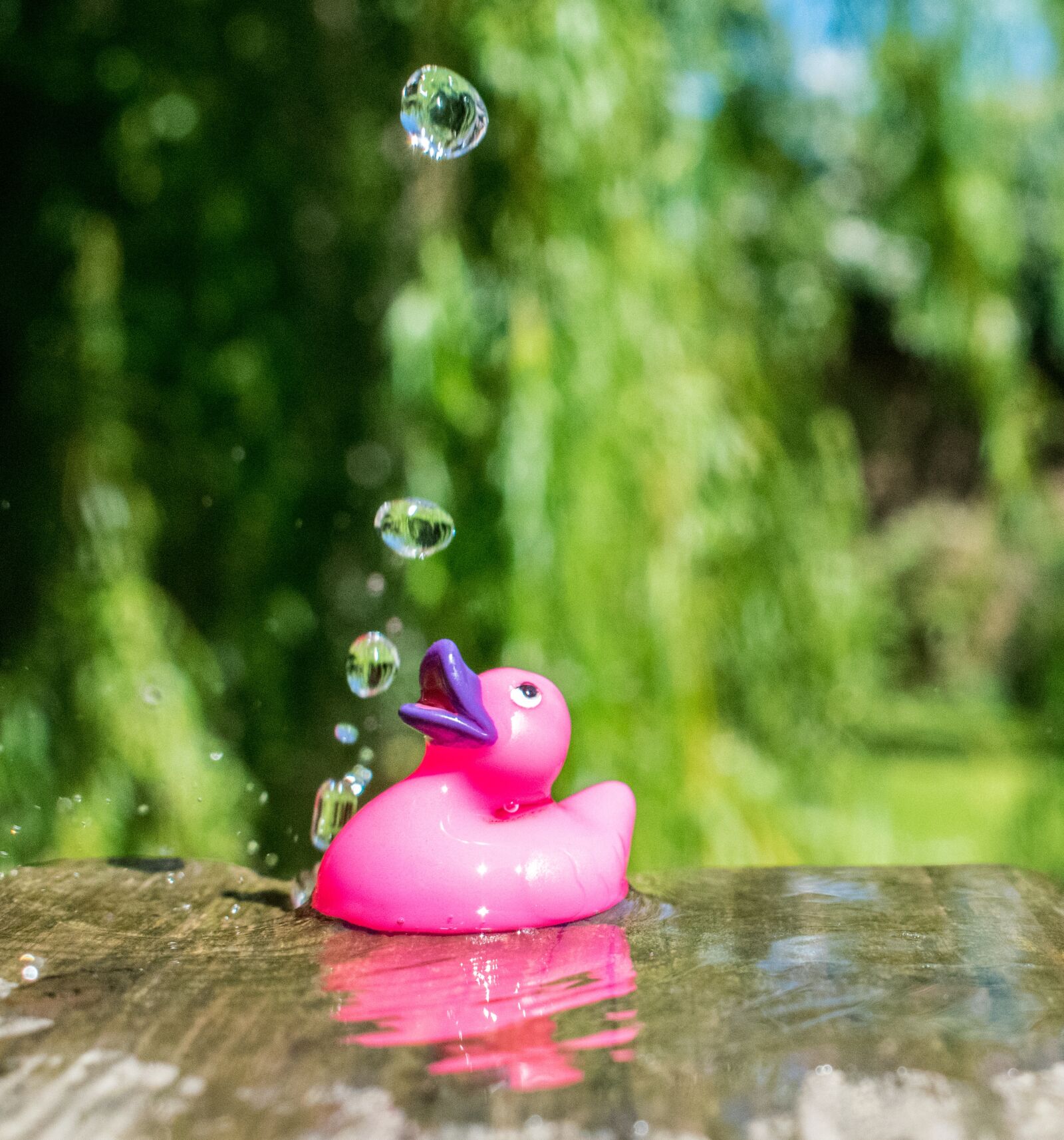 Nikon D3300 sample photo. Rubberduck, toy, water photography