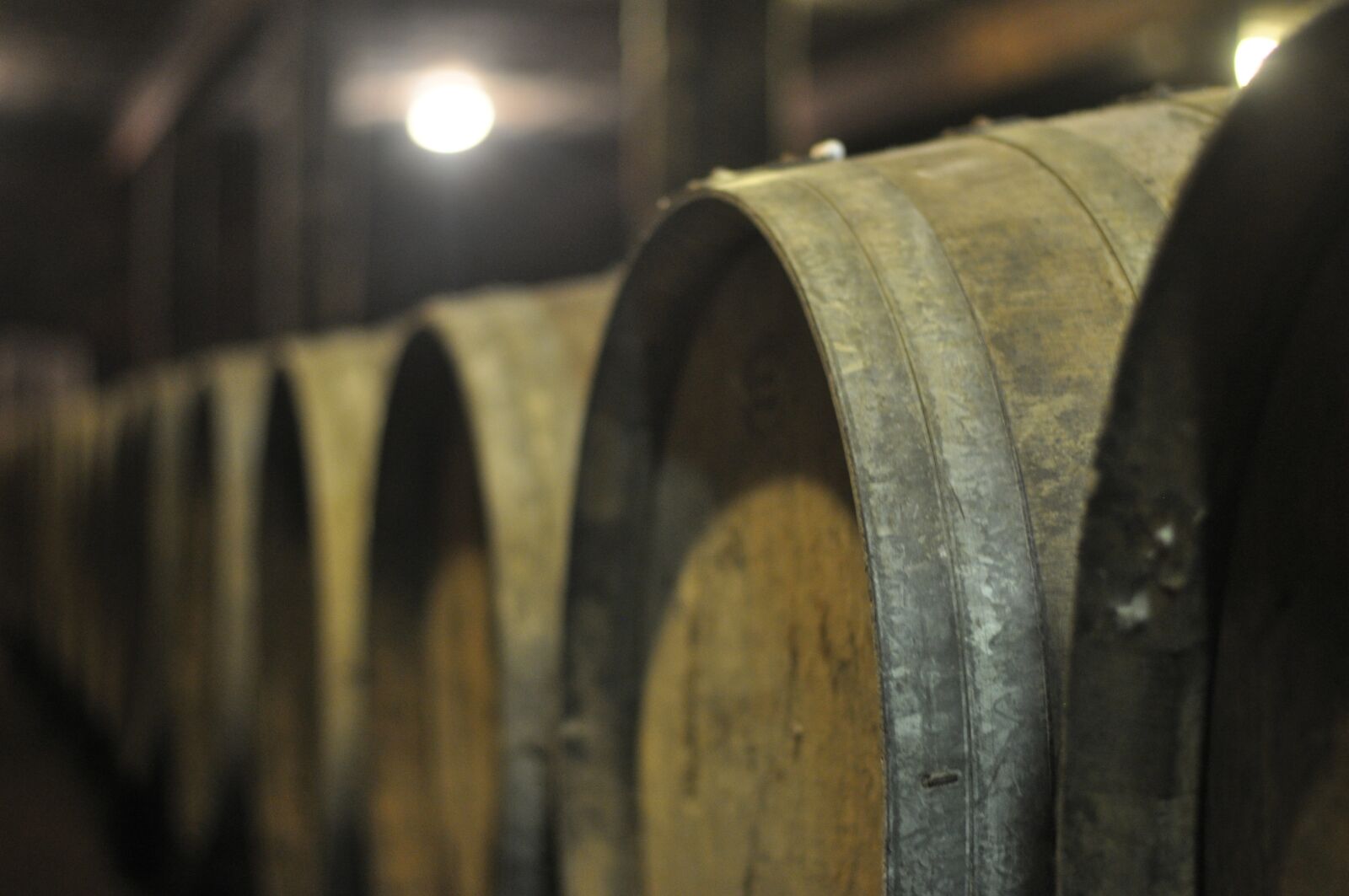 Nikon D5000 sample photo. Barrels, wine, cellar photography