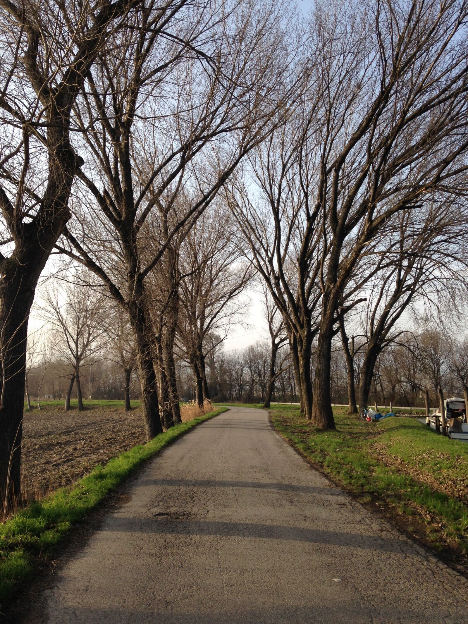 iPhone 5c back camera 4.12mm f/2.4 sample photo. Walk, trees, autumn photography