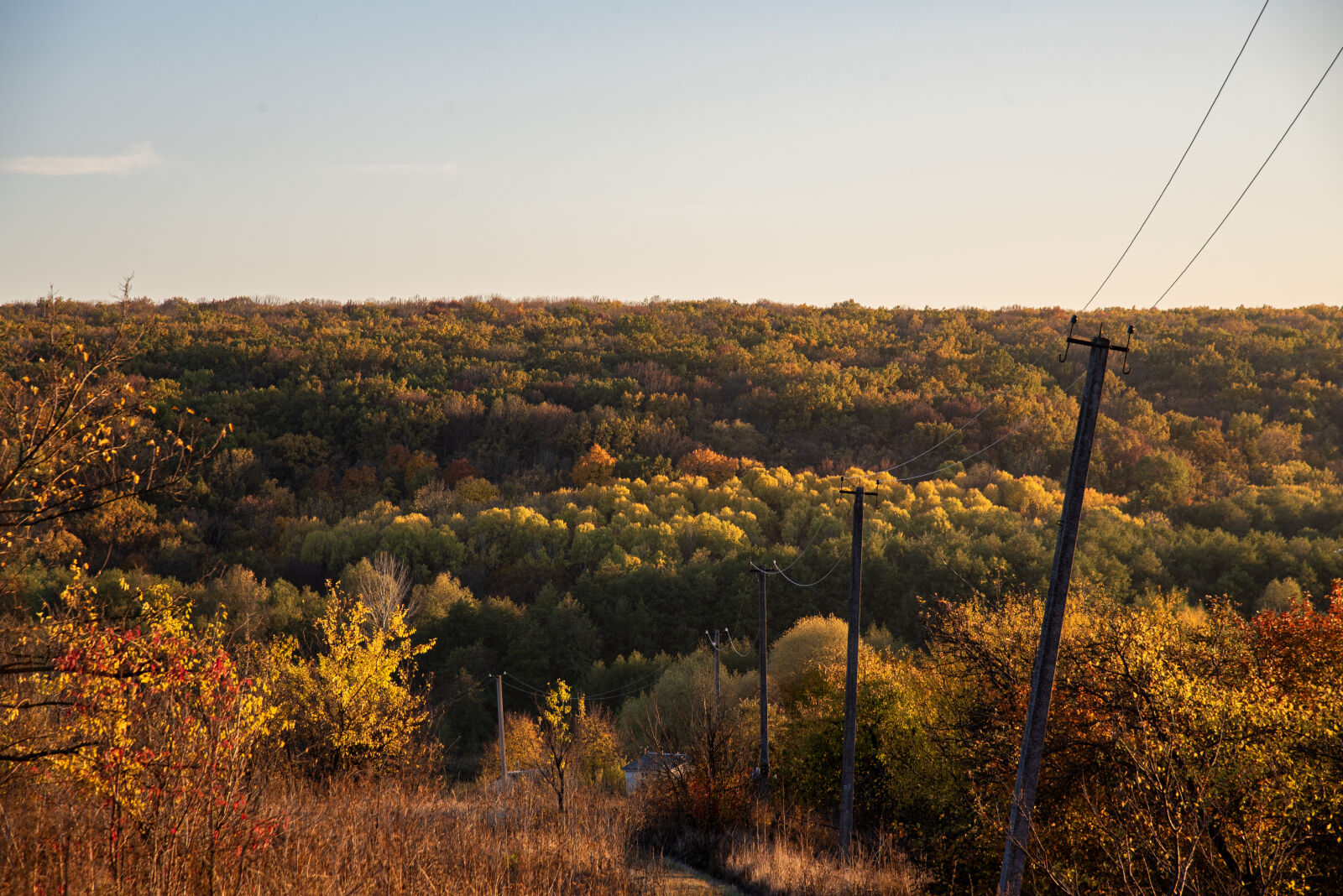 Nikon D750 sample photo