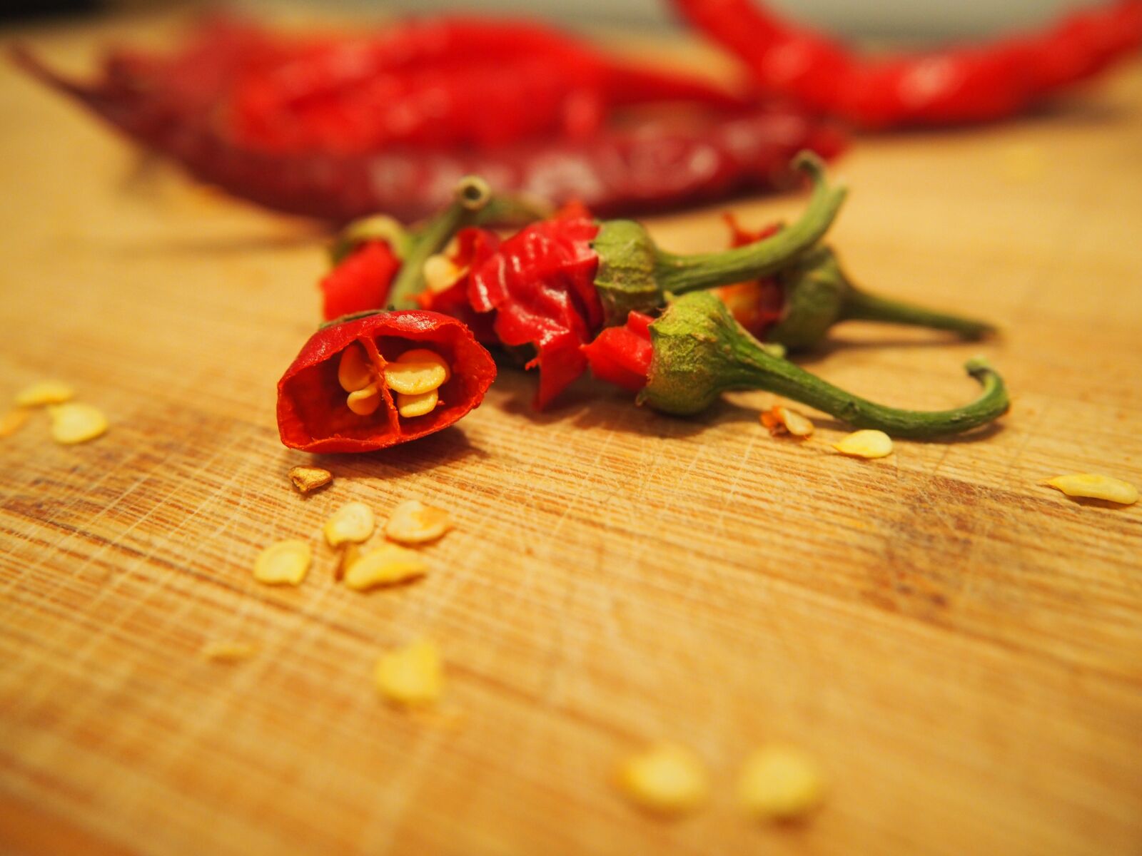 Olympus OM-D E-M10 sample photo. Chili, sharp, red photography